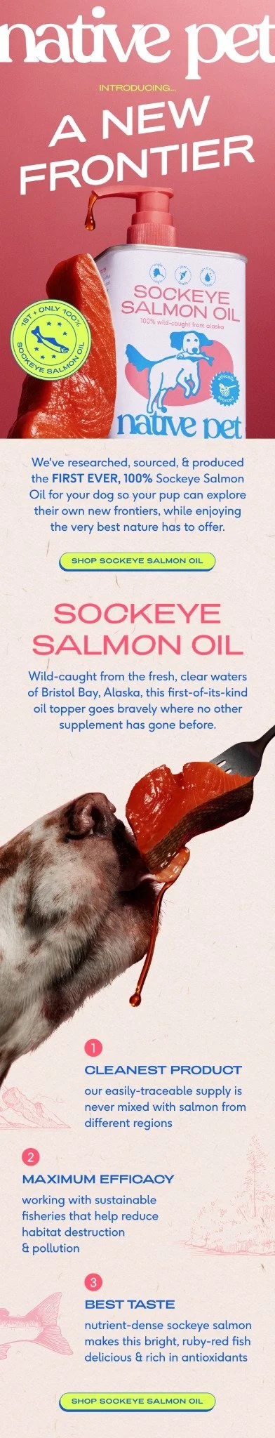 salmon-email.jpg