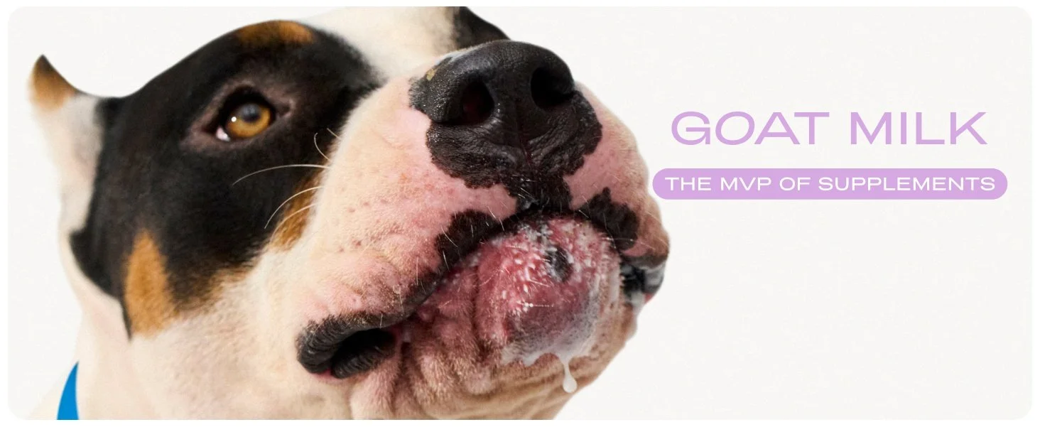 goat-banner.jpg