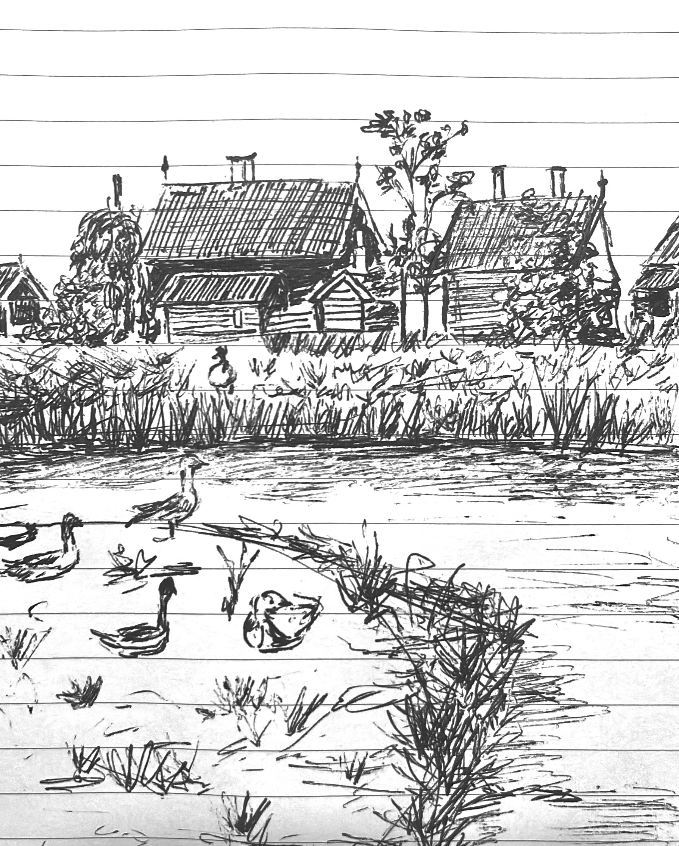 black and white ink drawing on lined paper depicting ducks on the bank of a river, with a background of centuries-old Dutch houses and trees