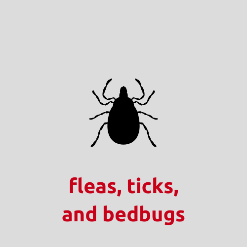Flea, tick and bedbug treatment in Pea Ridge, AR
