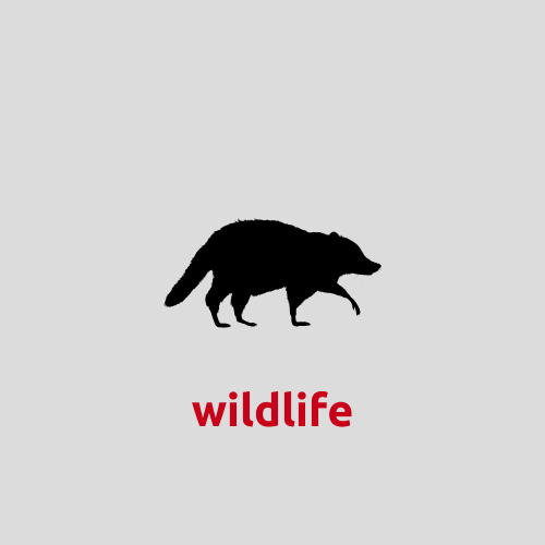 Wildlife control icon – DB Pest Solutions
