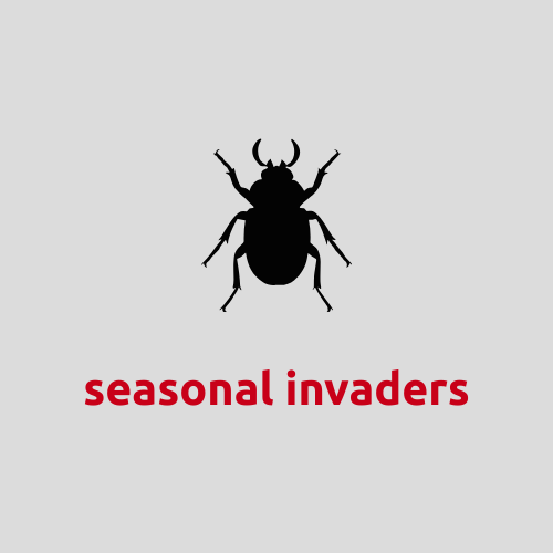 Seasonal invader pest control in Siloam Springs, AR