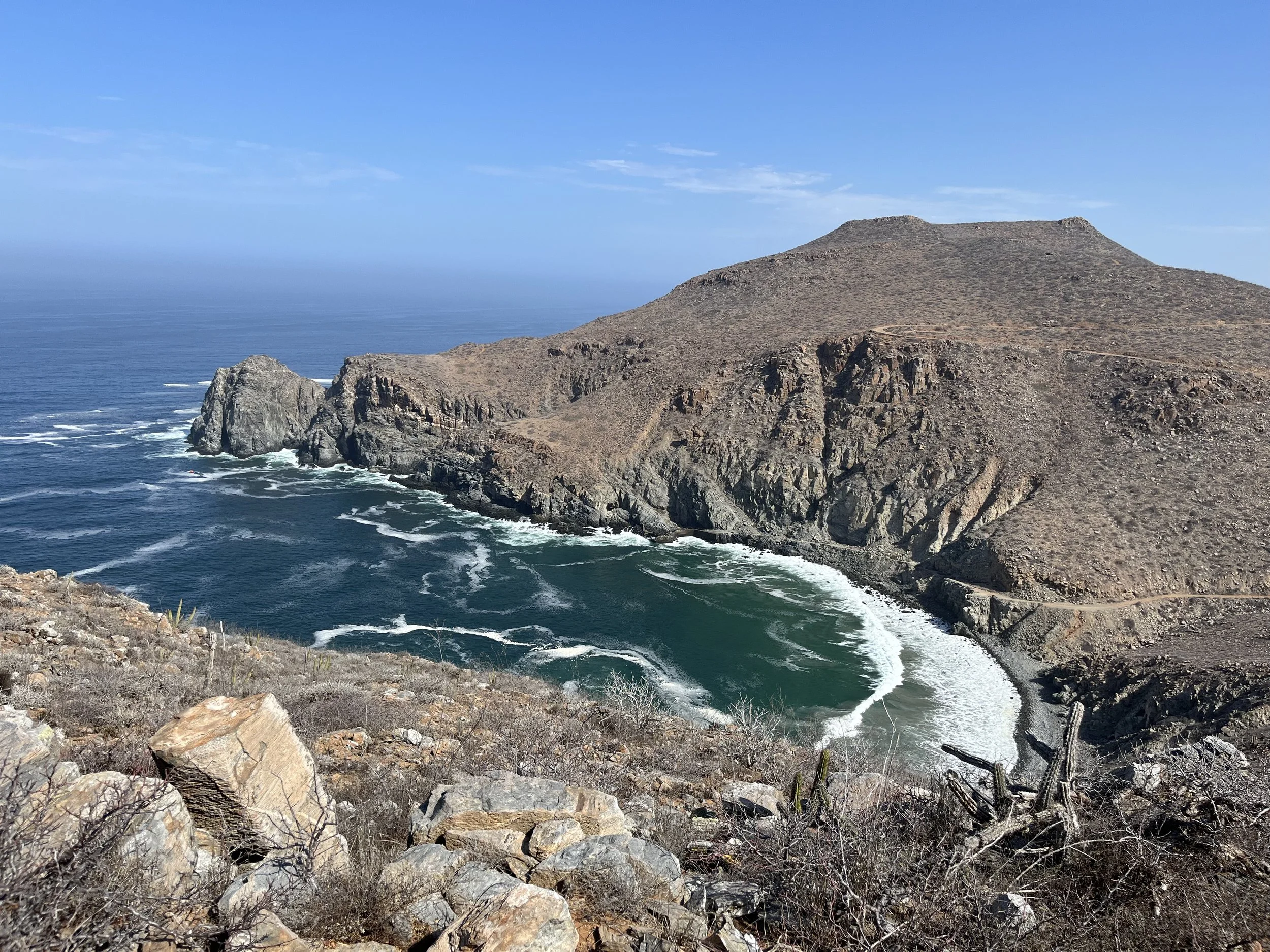 Coastal landscape with rocky shoreline, sparse desert vegetation, and a mountain in the background under a clear blue sky.