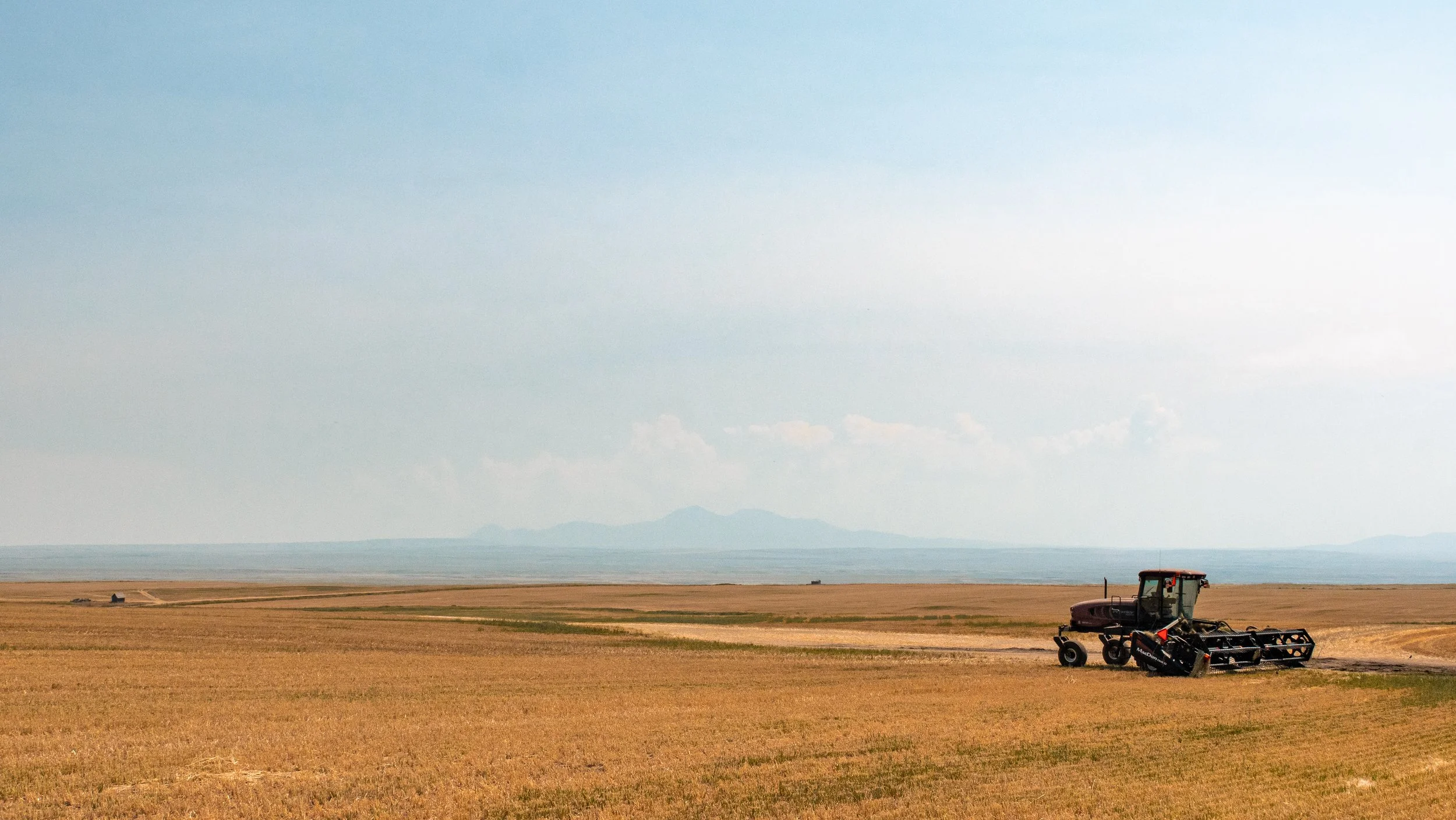 Agricultural tractor harvesting a golden field beside a calm lake with distant mountains and a hazy sky
