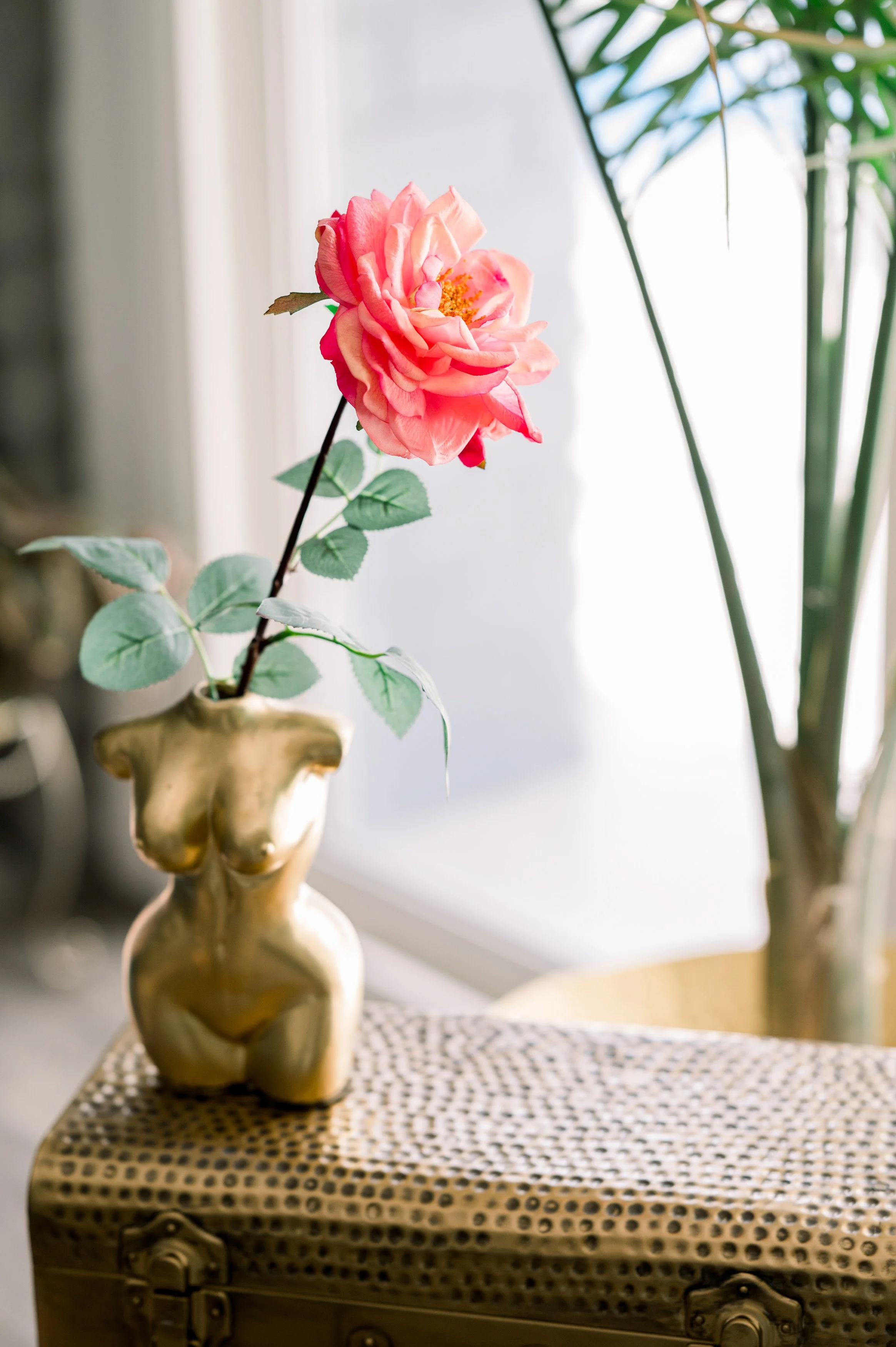 A pink rose with green leaves in a gold-colored vase on a wicker table in front of a window, with plants in the background.