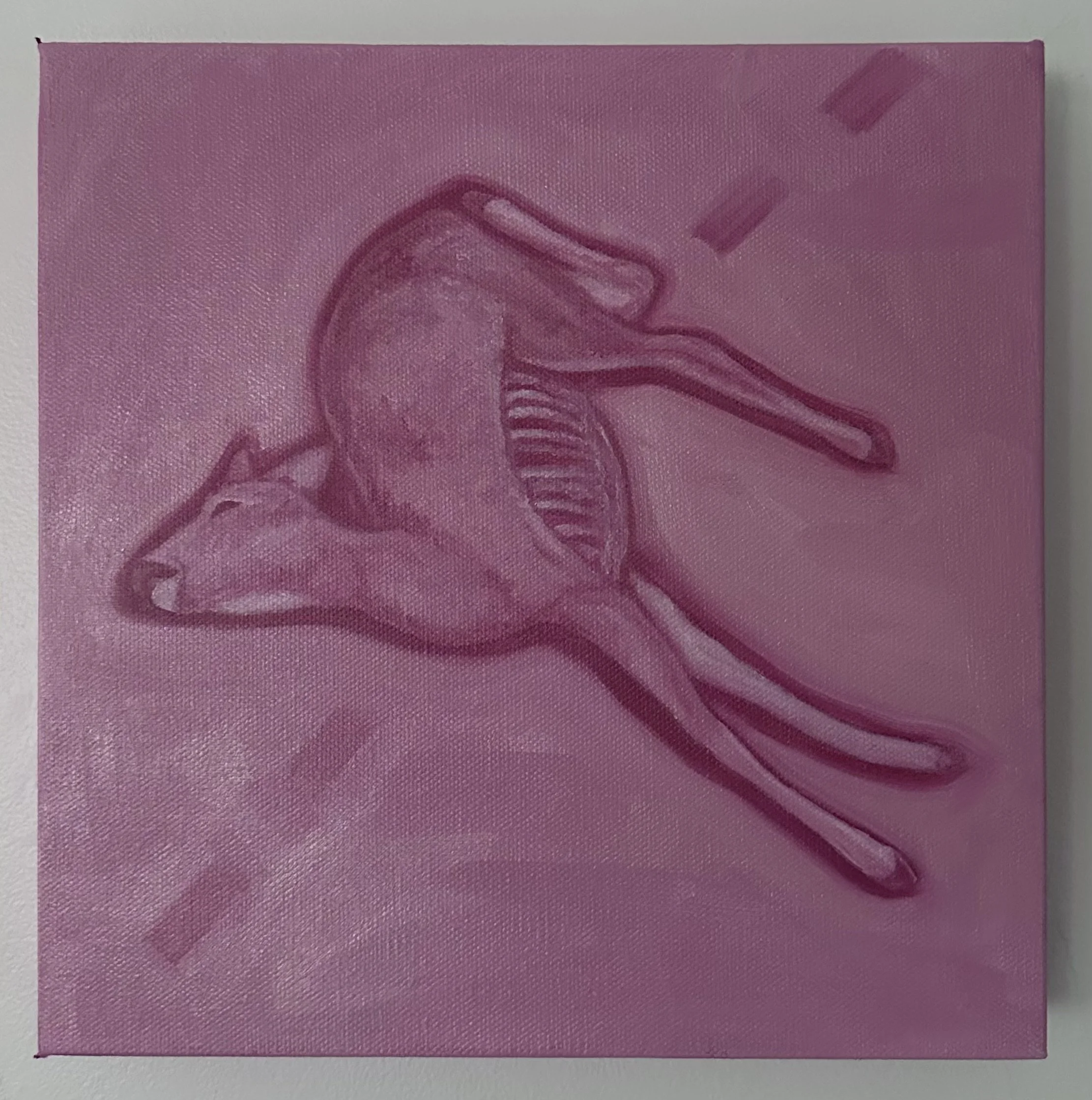 "dead deer" 2024