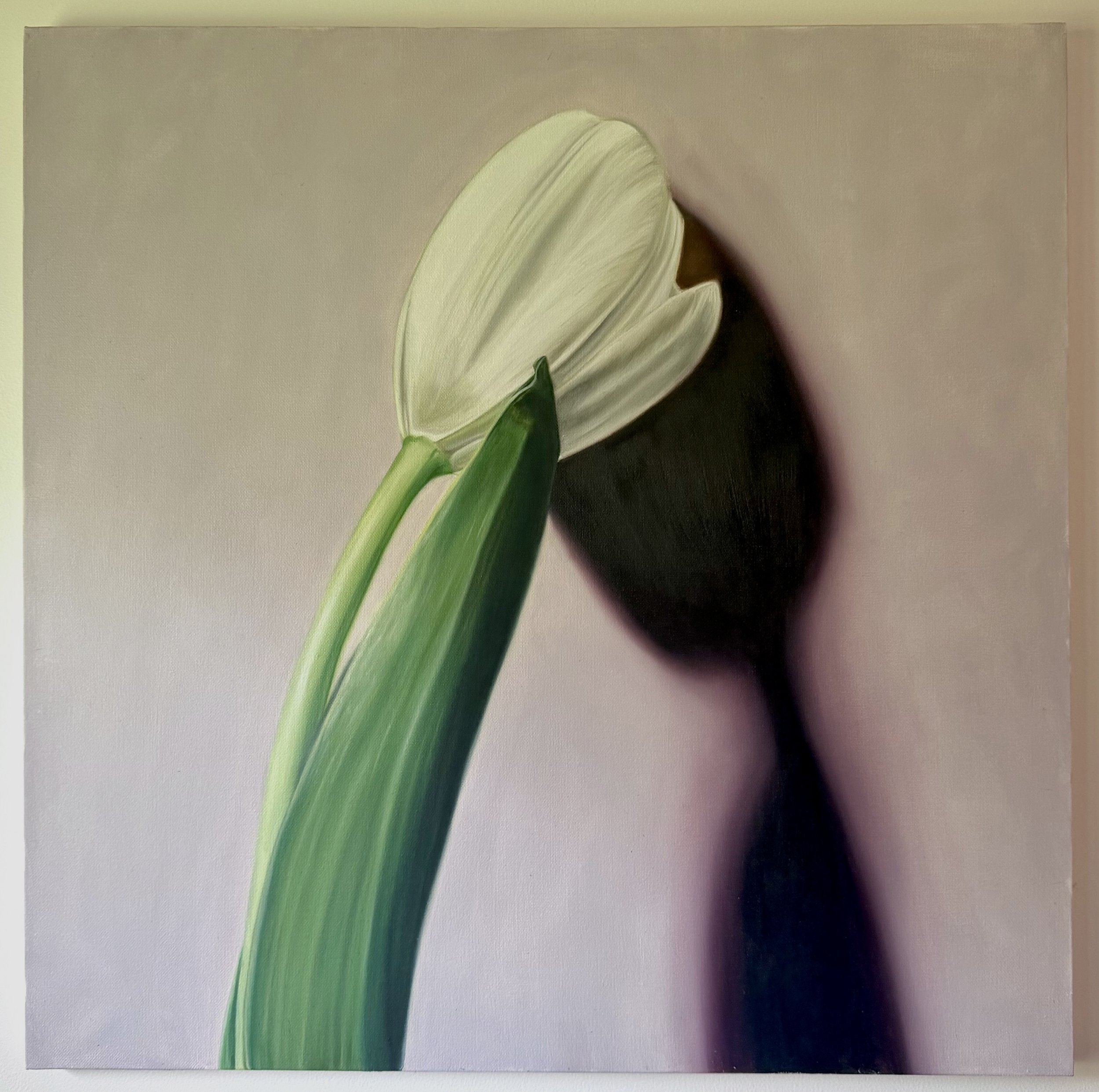 "wilted woman" 2026