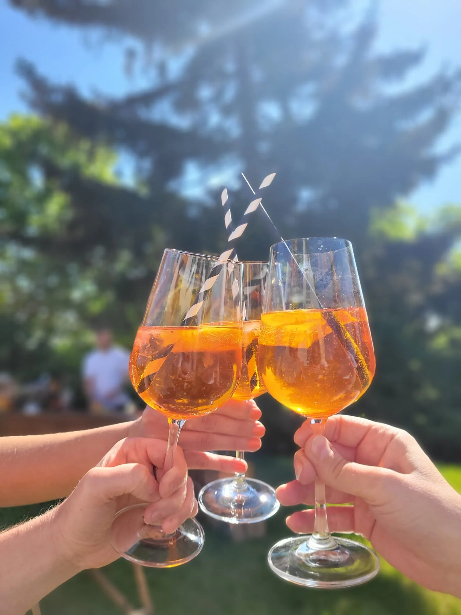 Vier Weingläser mit orangefarbendem Getränk, die von verschiedenen Händen gehalten werden, vor einem Baum und blauem Himmel bei Sonnenlicht, bei einer geselligen Gelegenheit.