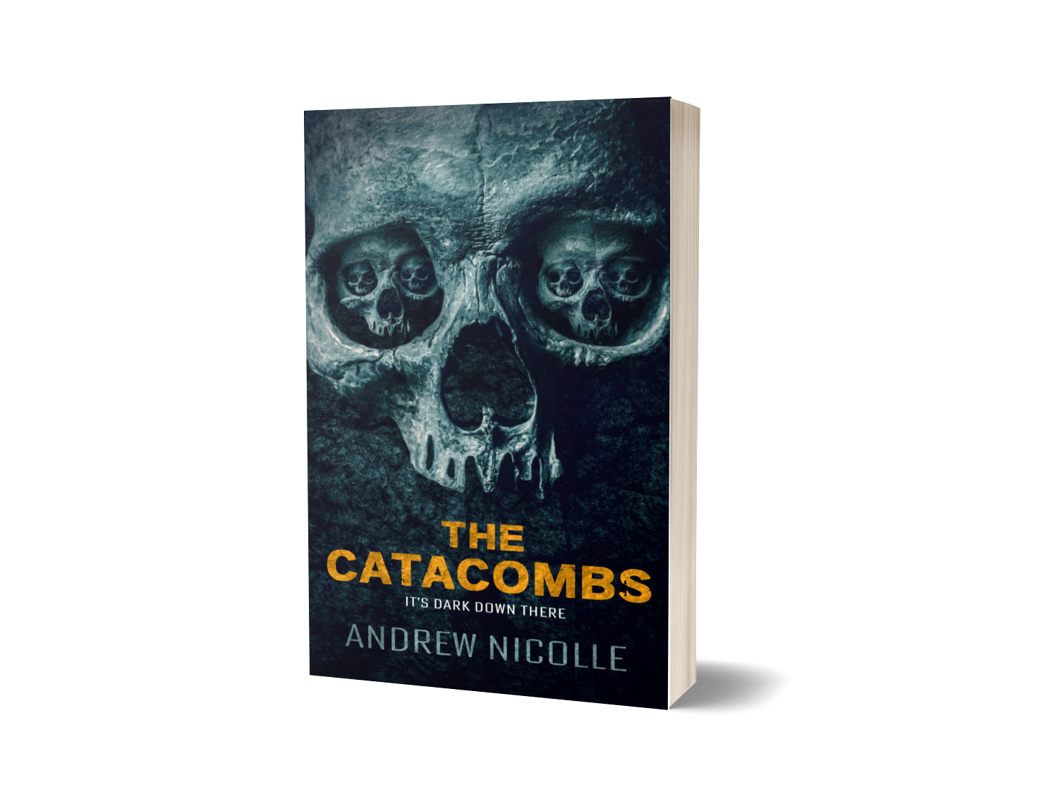 Book cover titled 'The Catacombs' by Andrew Nicolle, featuring a dark, eerie illustration of a skull with multiple smaller skulls within the eye sockets.