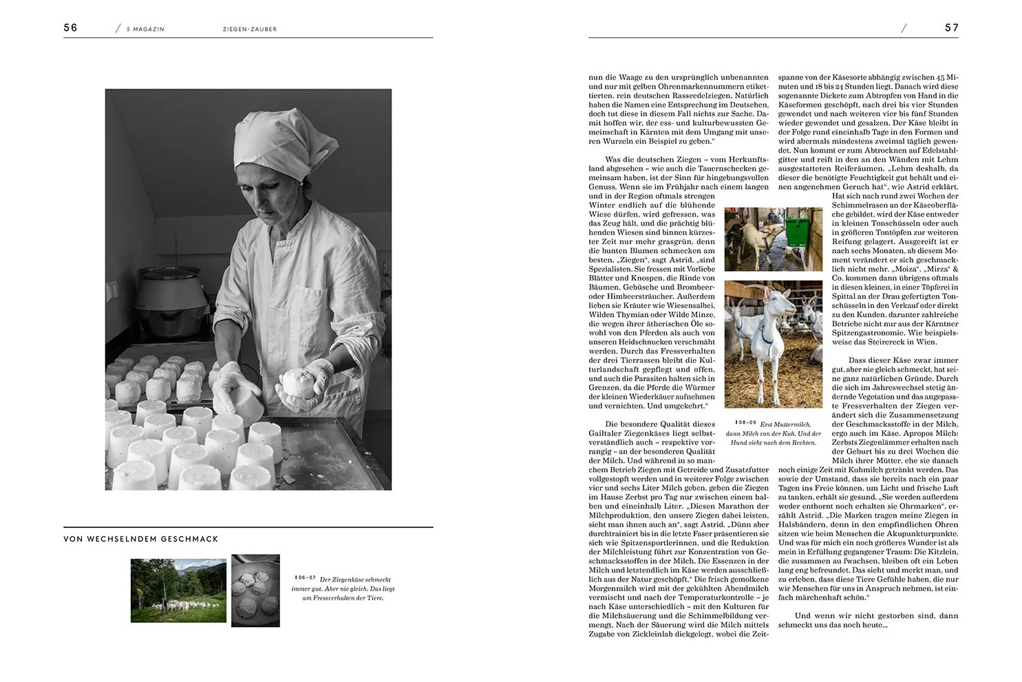 mirco_taliercio_smag_ziege_4.jpg