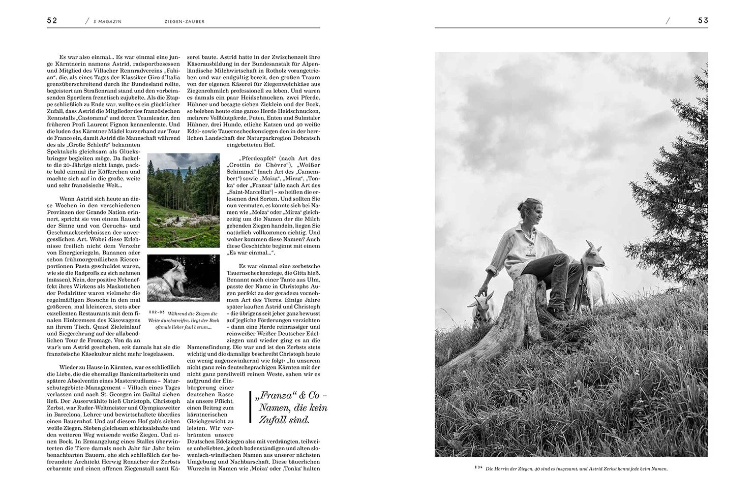 mirco_taliercio_smag_ziege_2 2.jpg