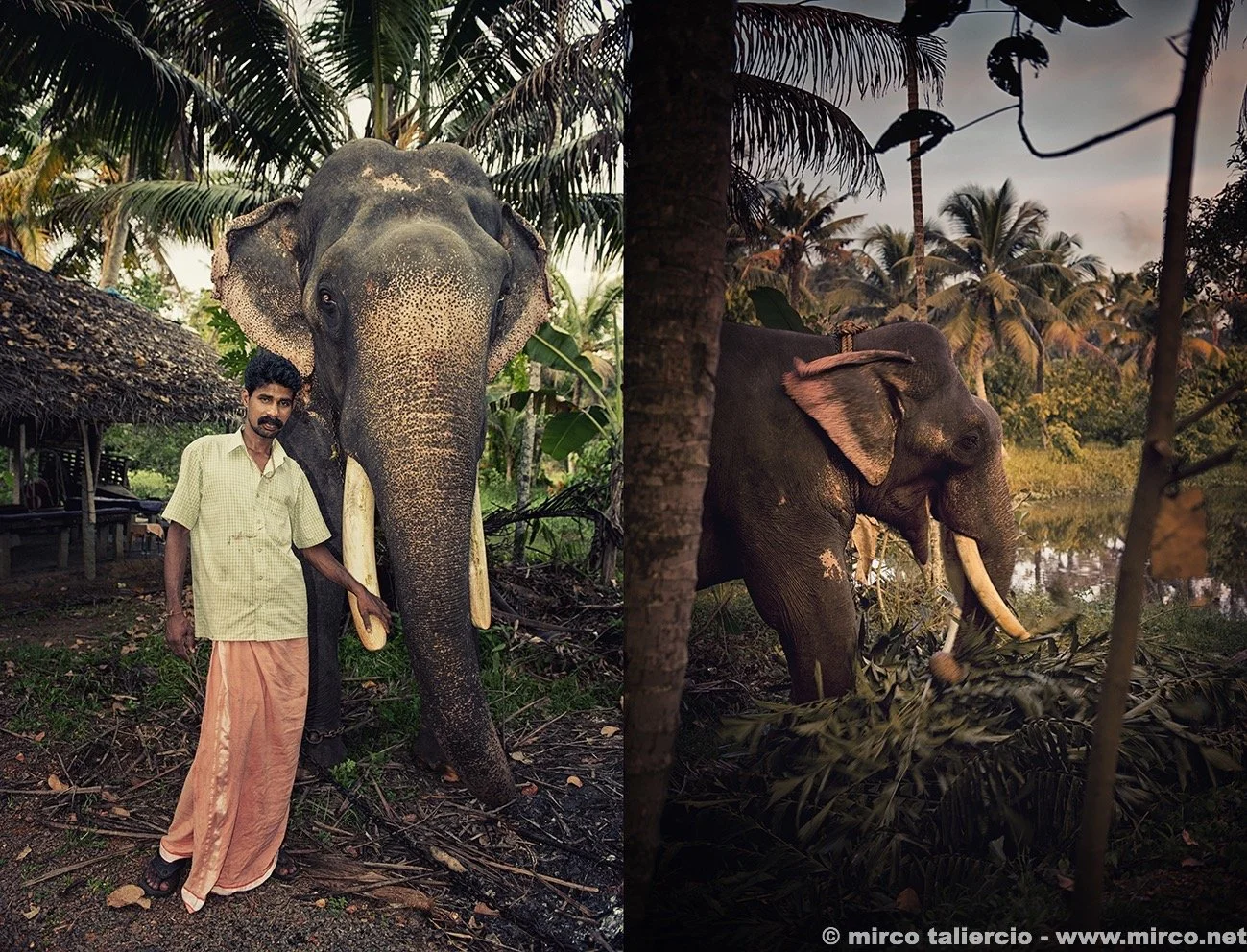 Indien - Dunga – Der Elefant und sein Mahout