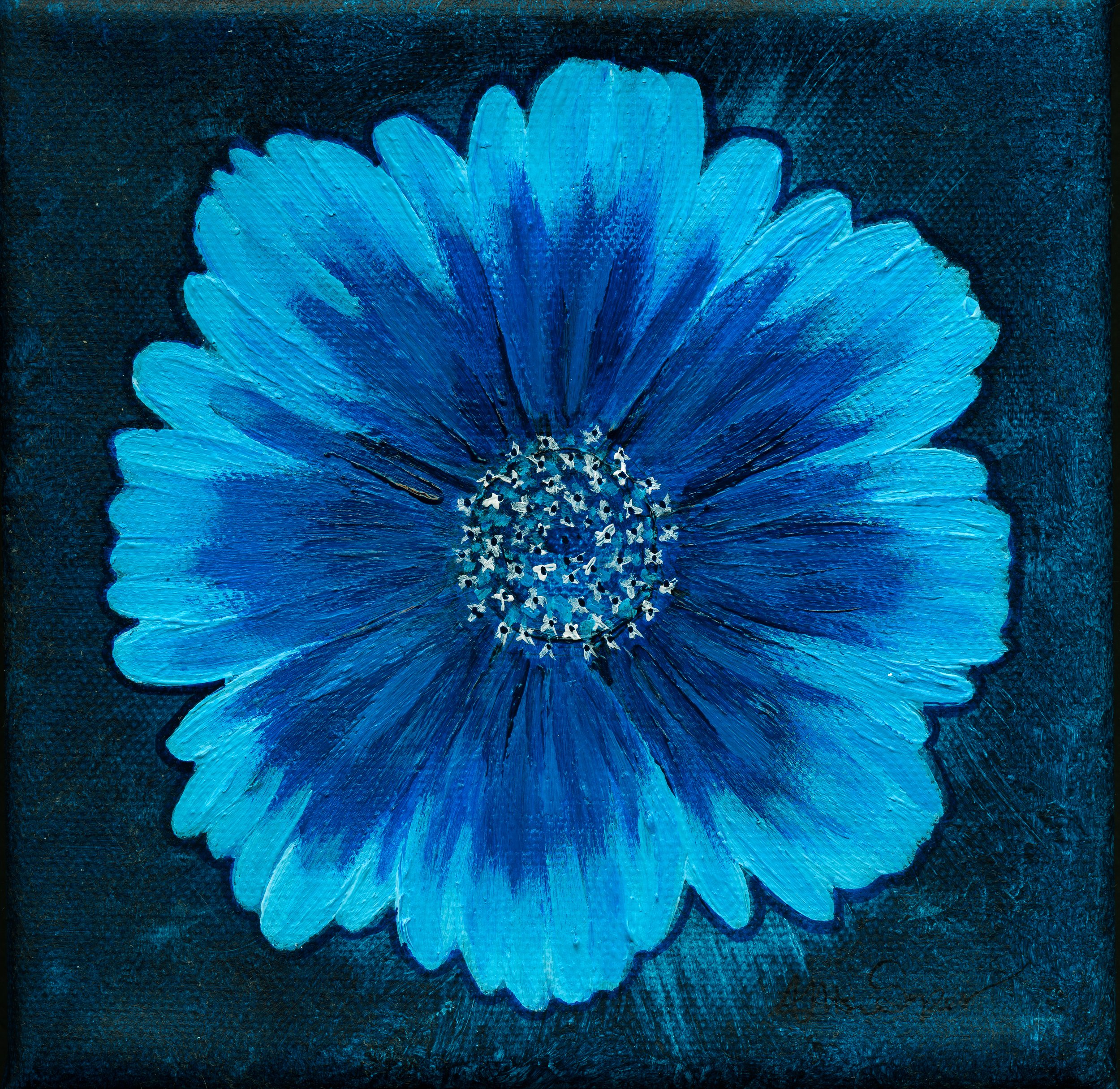 Wild Blue Flower