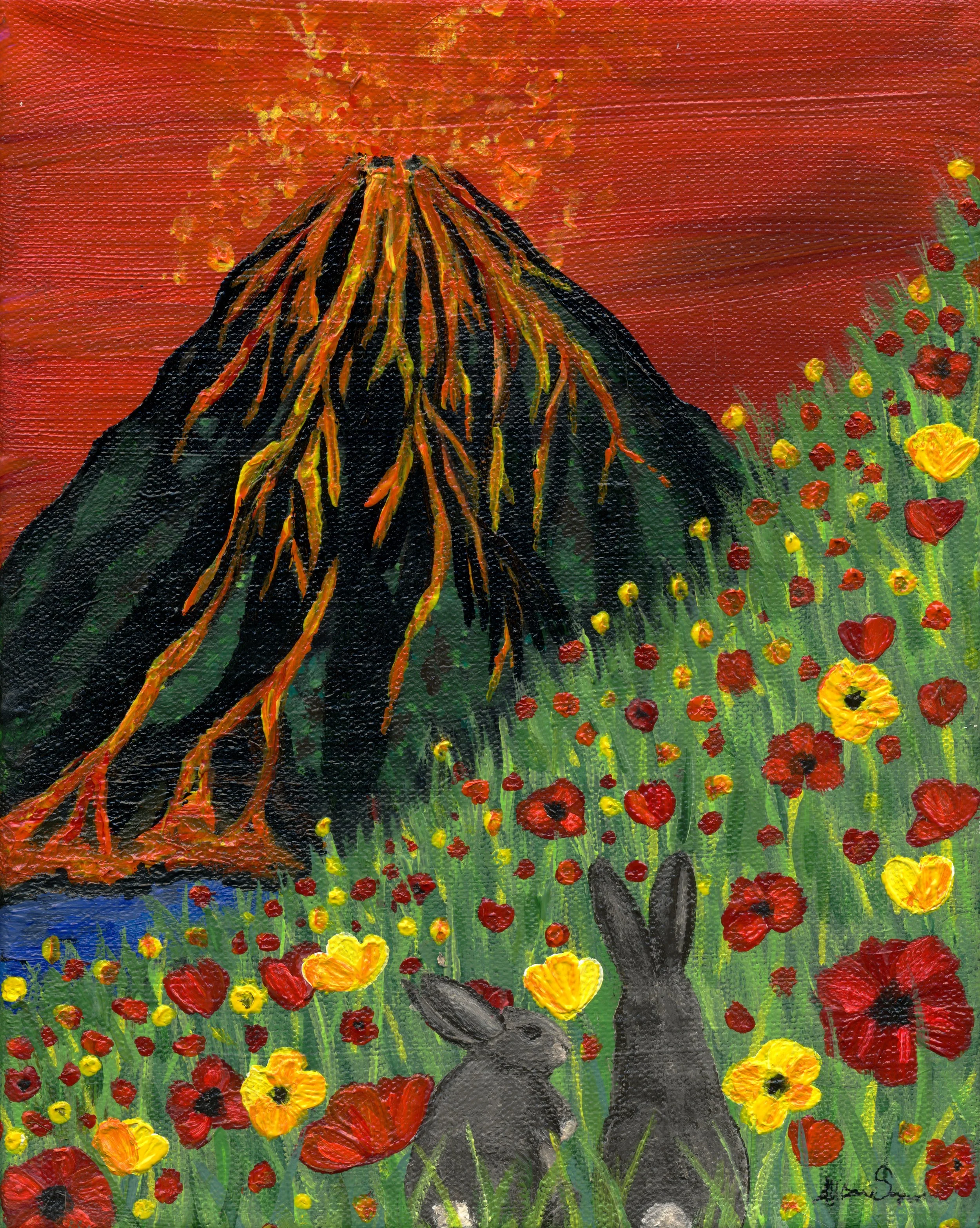Volcanic Observations