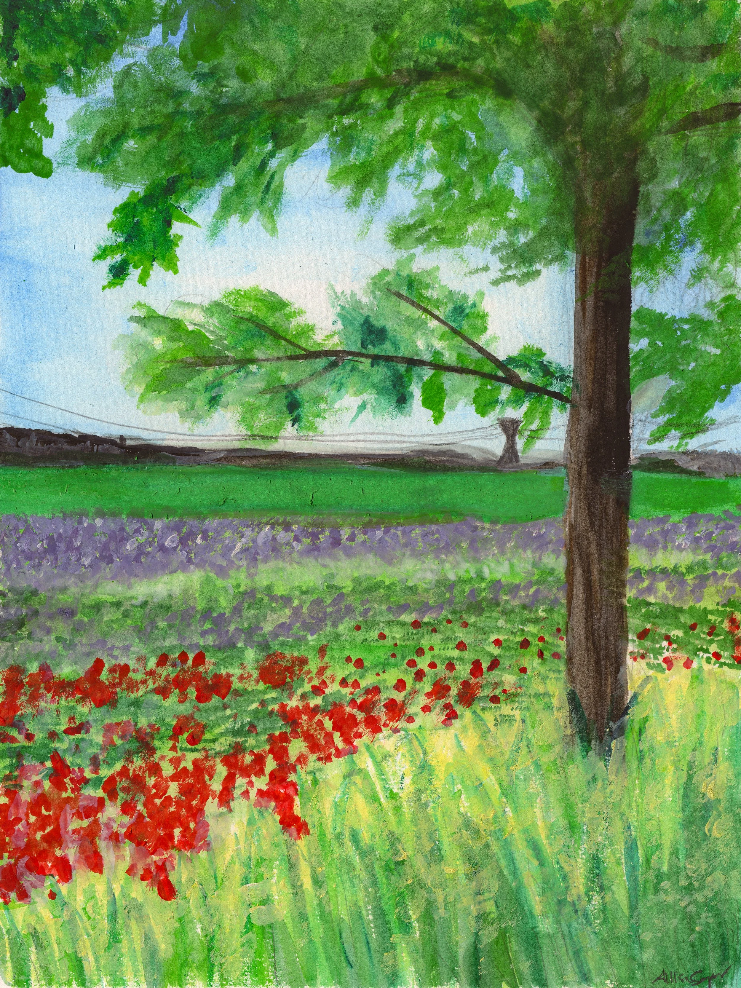 Peaceful Spot  (watercolor)