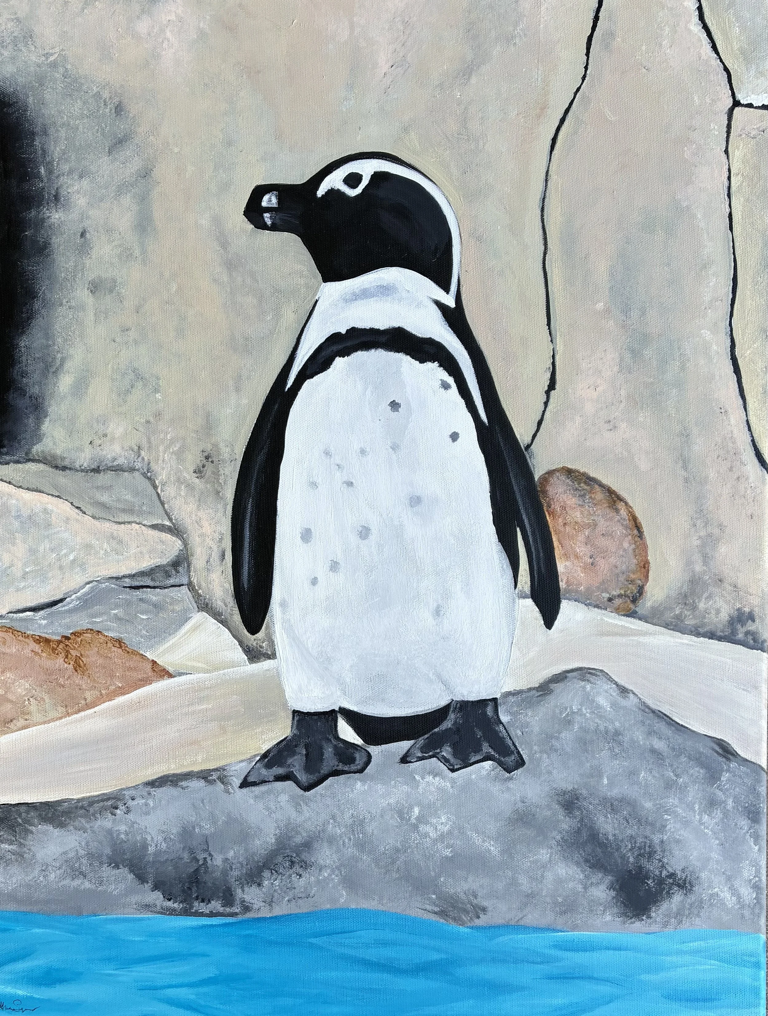 Penguin at the Zoo
