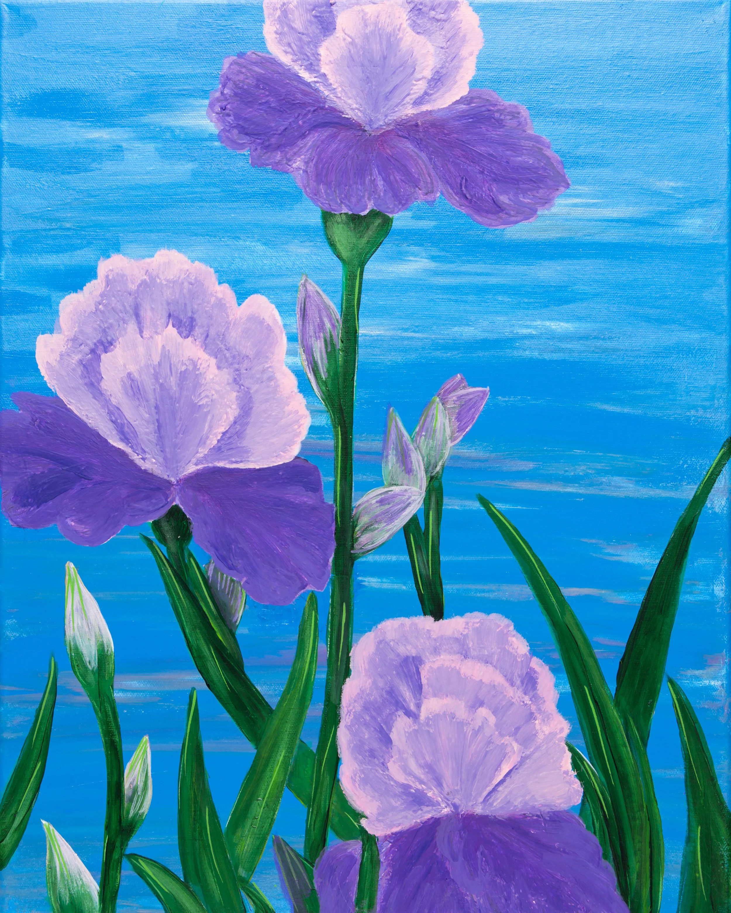 Iris Spring 