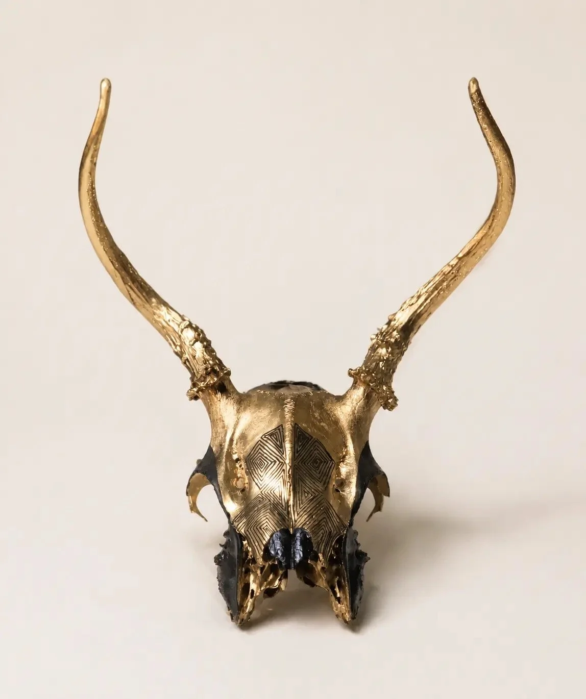 Small Gold & Black Antler Skull Art