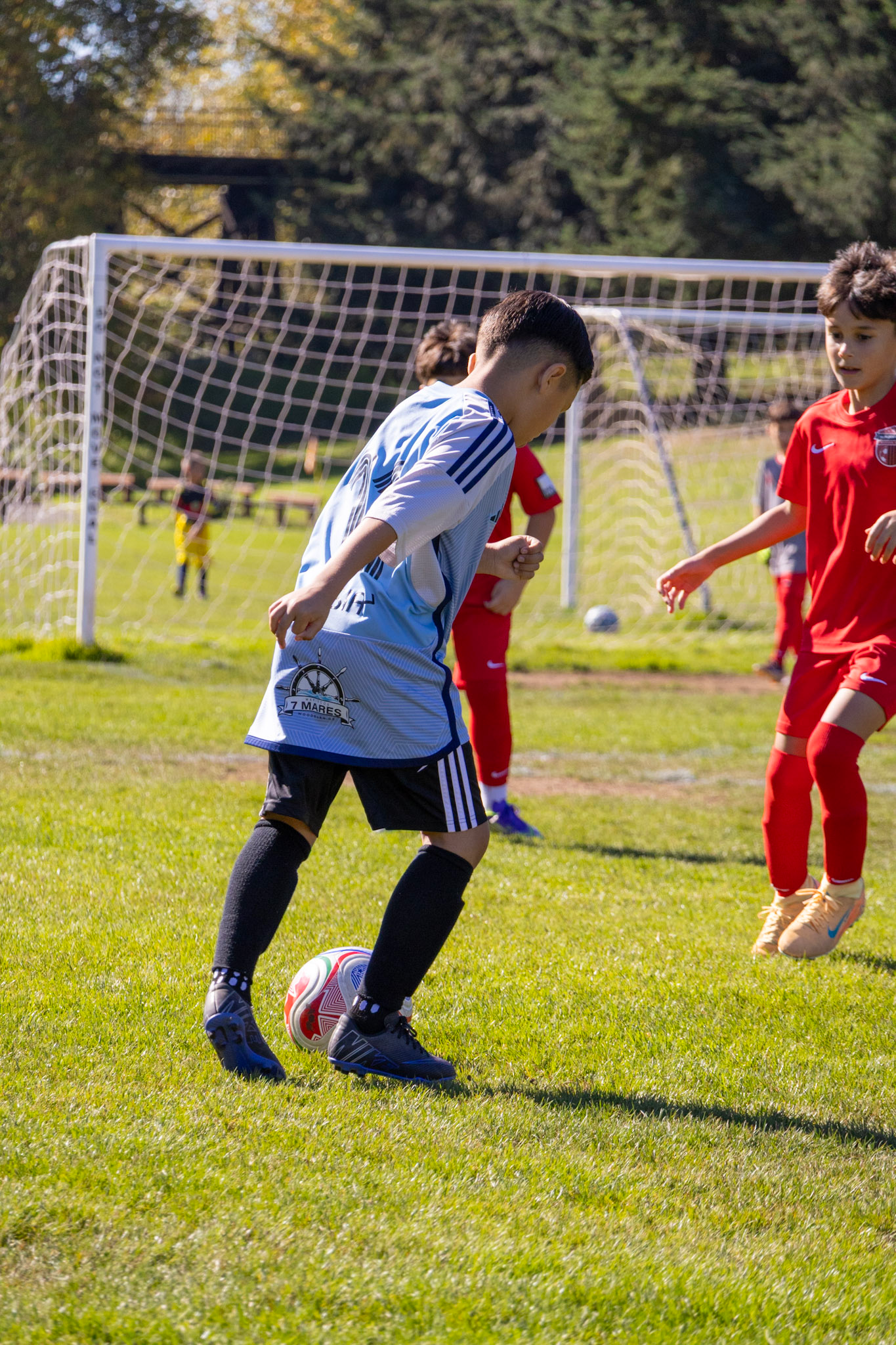 Children playing soccer outdoors on a grassy field, with trees in the background, one boy in a blue and white jersey controlling the ball while others in red jerseys are nearby.