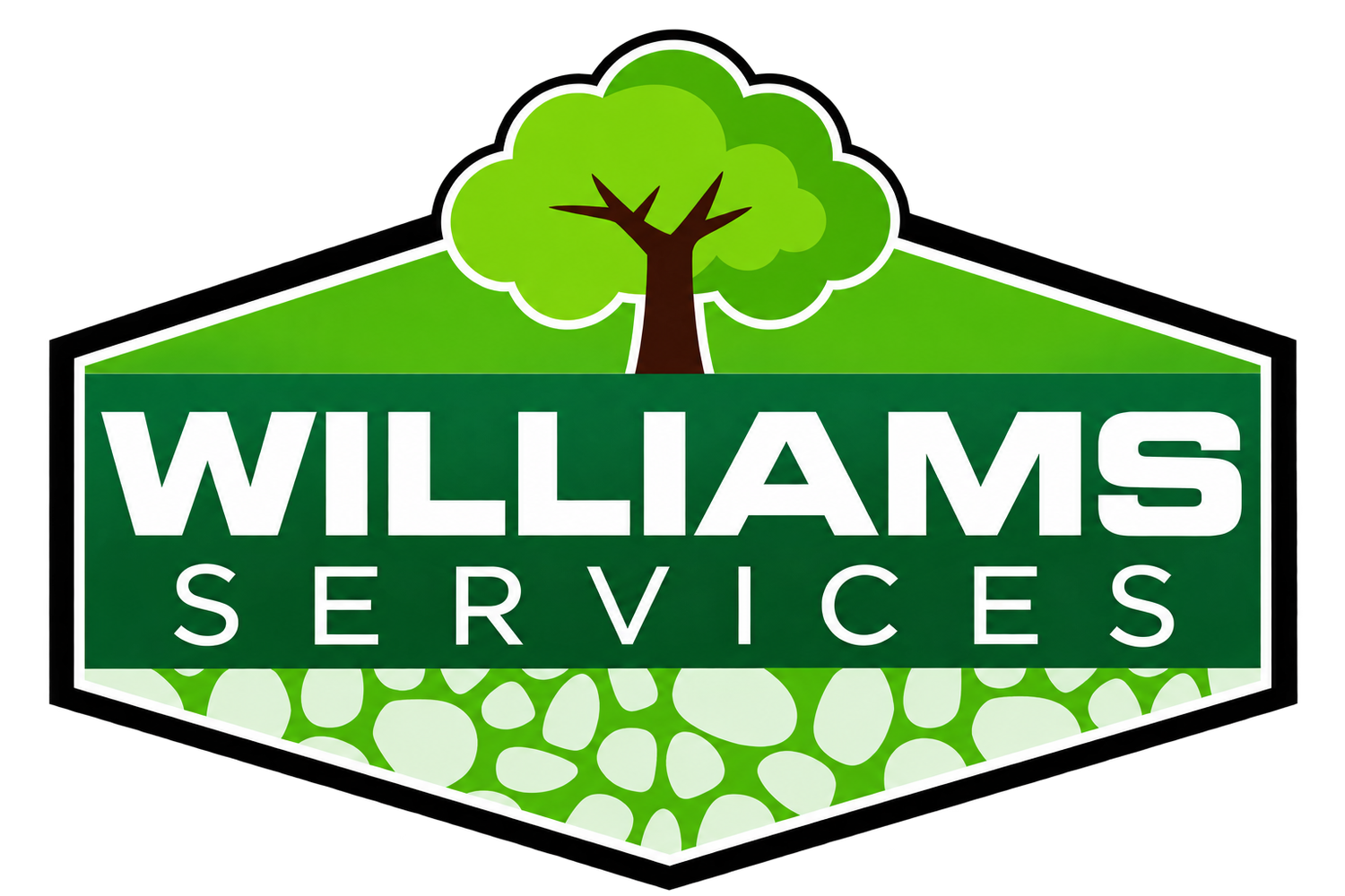 WilliamsServices LLC