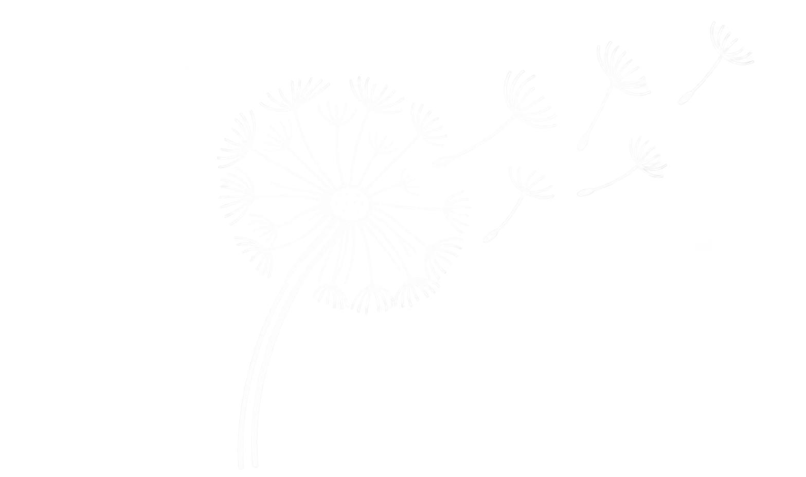 A line drawing of a dandelion flower with a round seed head and several seeds drifting away.