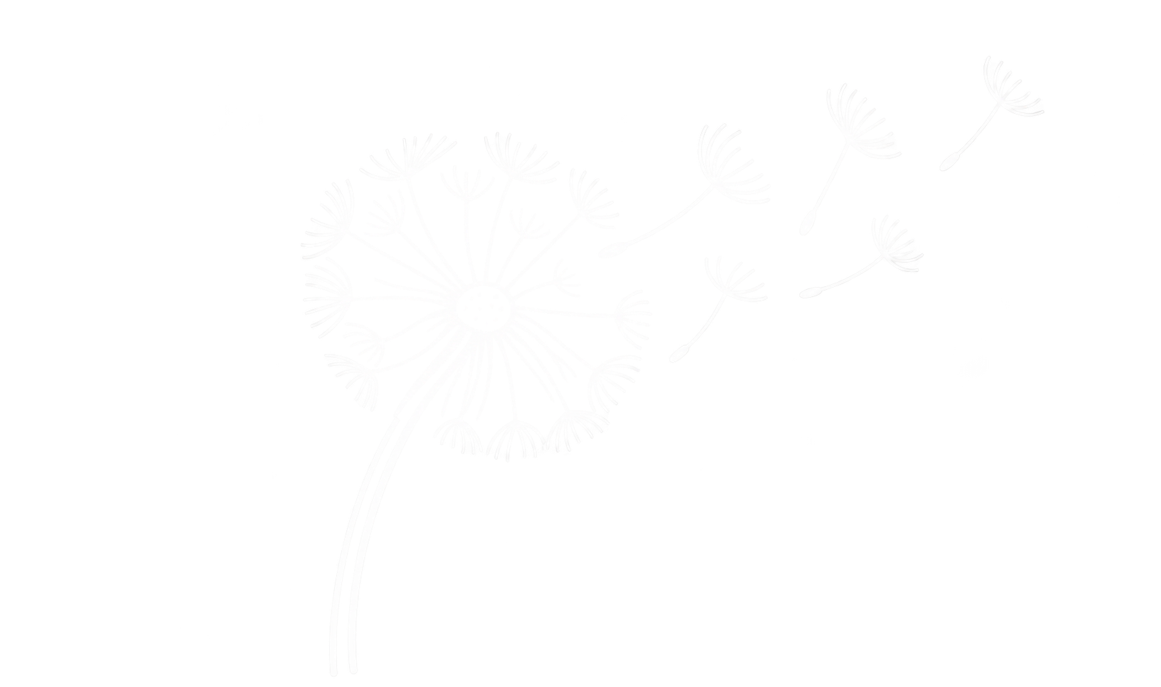 Outline illustration of a dandelion flower with some seeds blowing away.