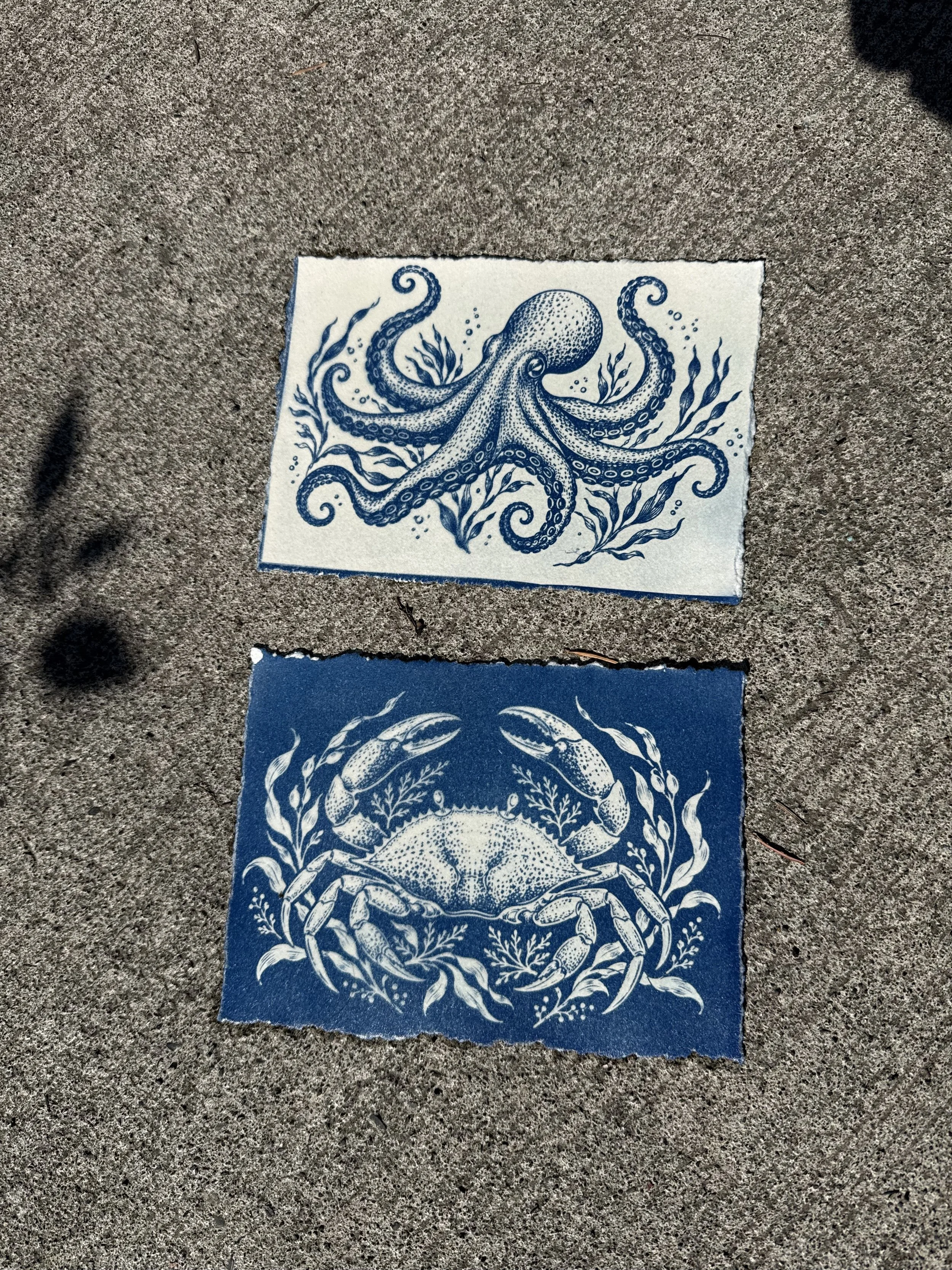 Orange and blue artistic illustrations of sea creatures, including an octopus and a crab, on torn paper placed on concrete ground.