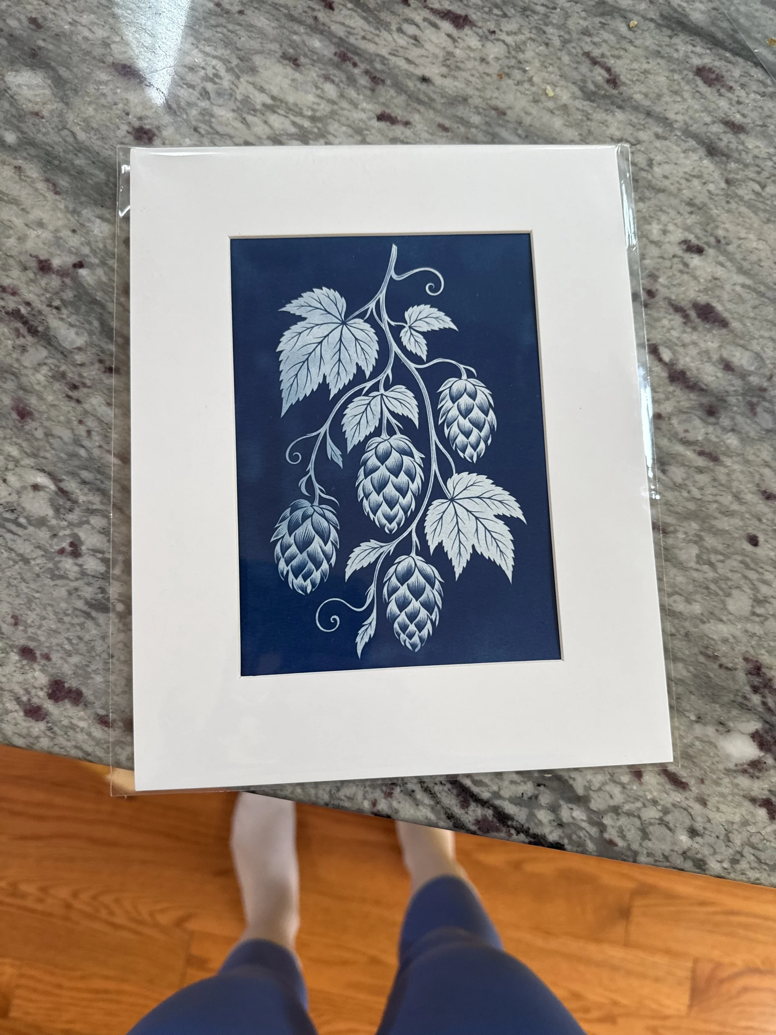A framed picture with botanical illustration of hops, leaves, and tendrils on a dark blue background, placed on a granite countertop.