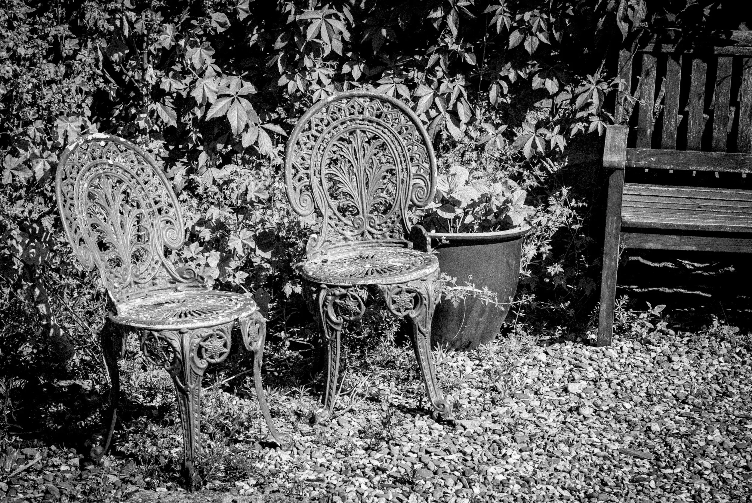 Two chairs in a garden