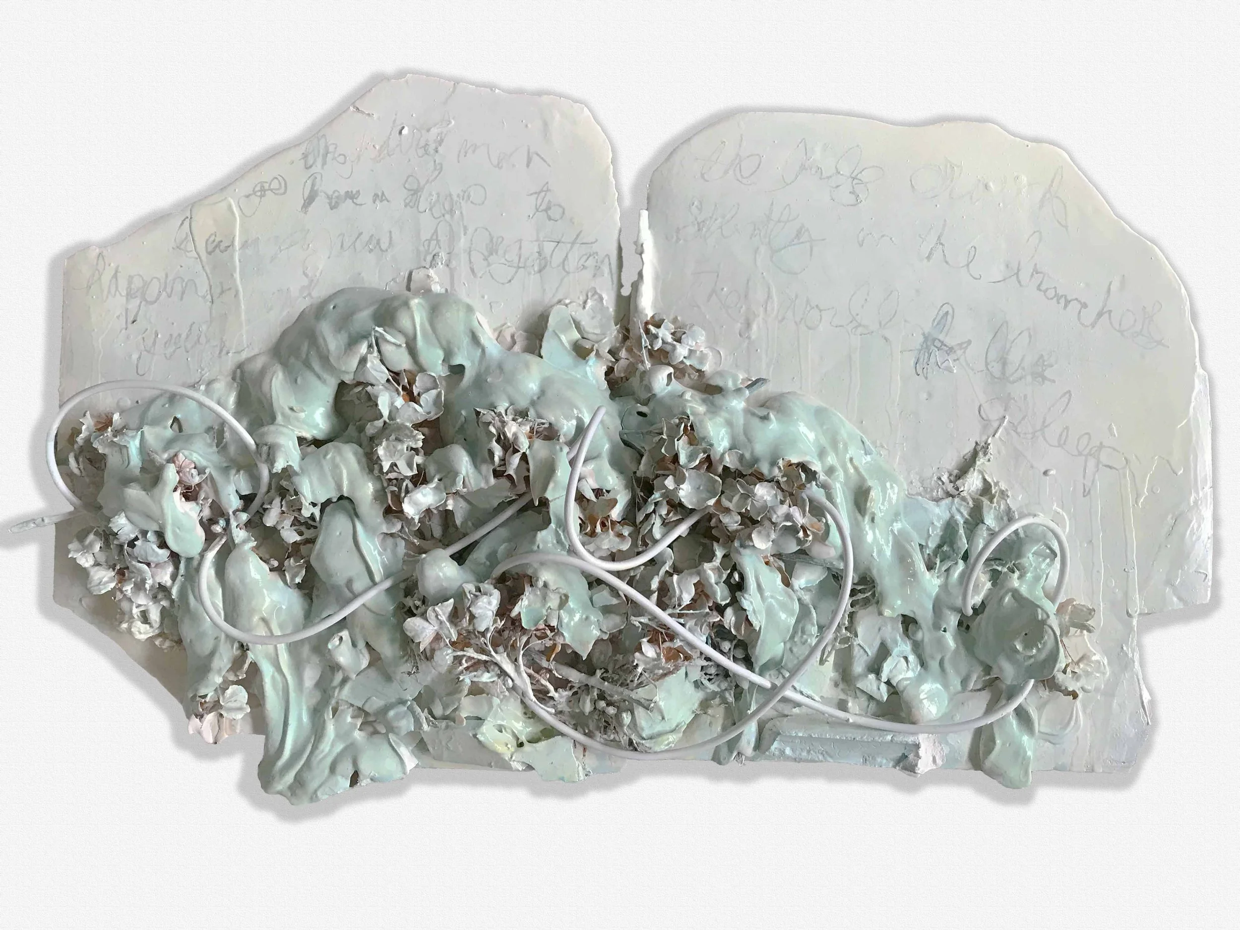 21" x 13" x 3" plaster, paint, pencil, computer cord, glue, organic material SOLD