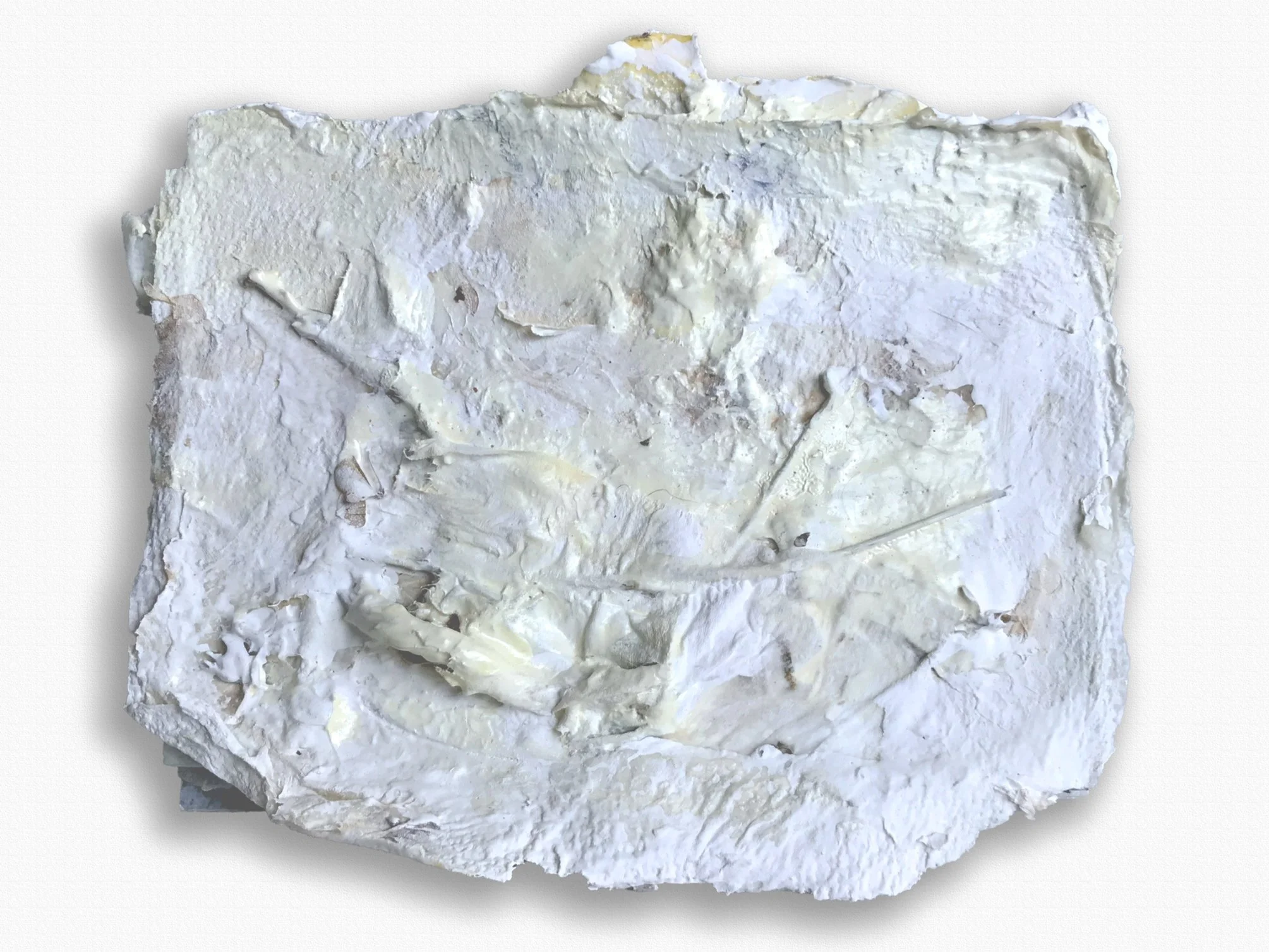 5"x51/2" paper, glue, paint, organic material $75.