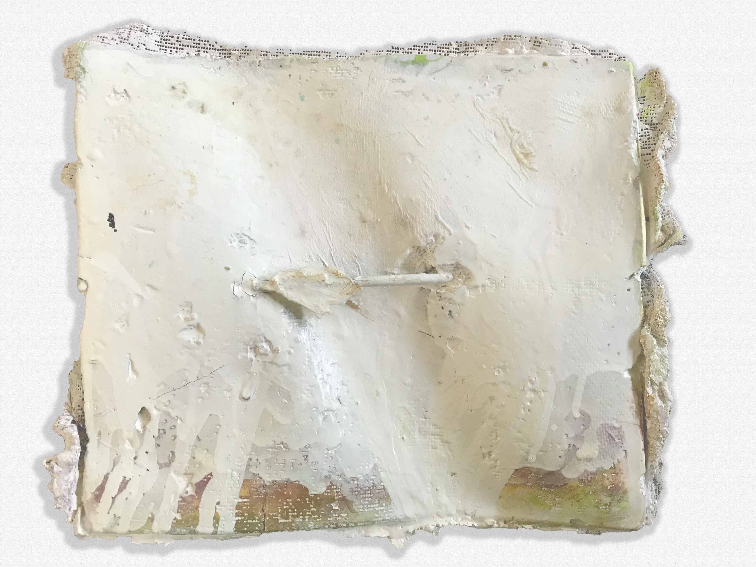 12" x 10" plaster, paint, glue, organic material $350. 