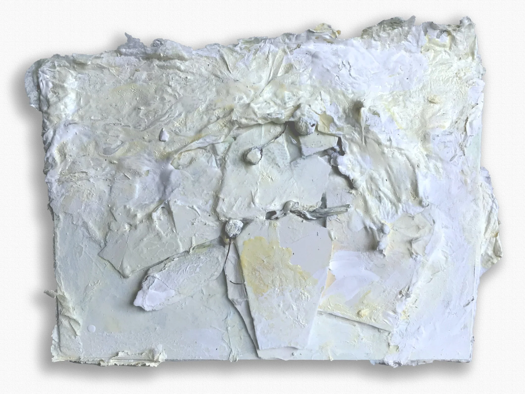 7"x5" paper, glue, plaster, paint, organic material $100.