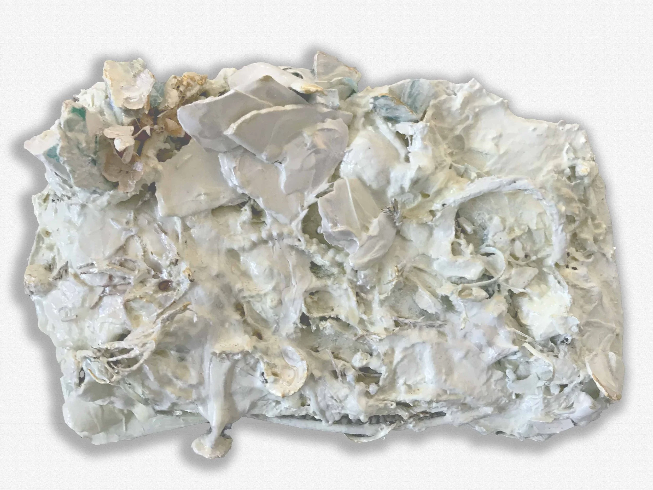 9"x51/2"x2" plaster, paint, glue, metal chain, organic material $135.