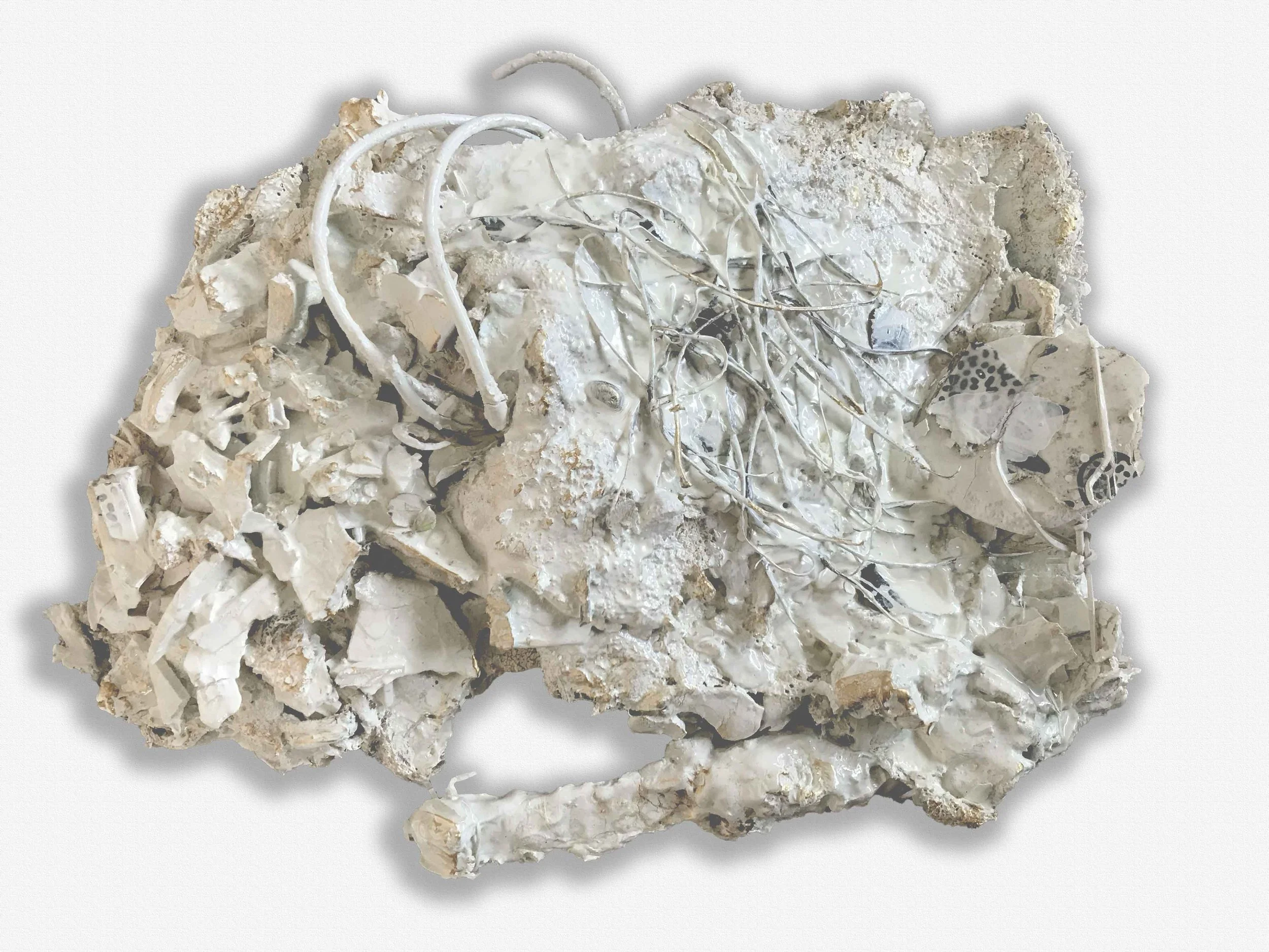 12" x 9" x 2" Plaster, paint, glue, wallpaper, rubber bands, organic material $300.