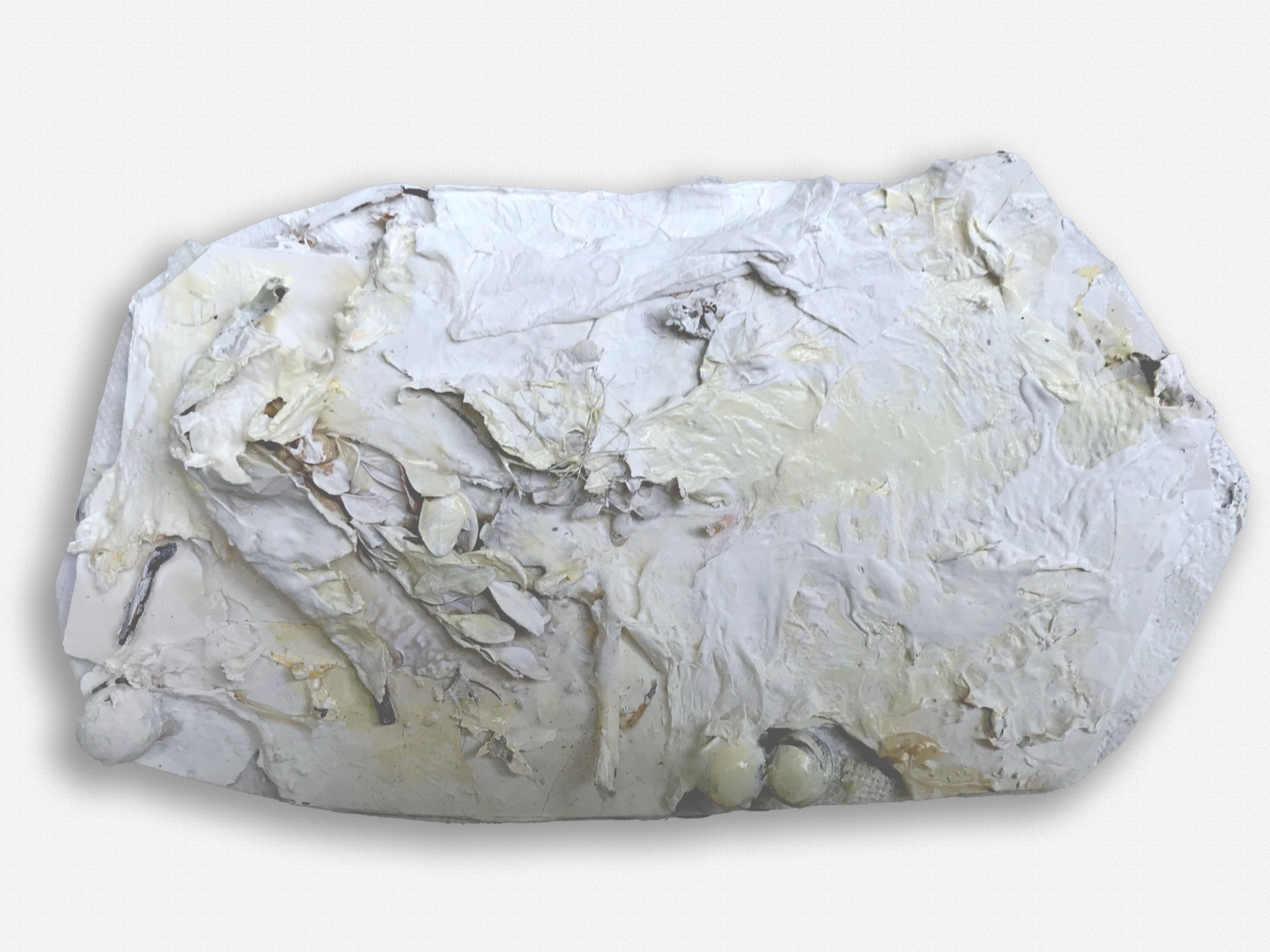 5"x9.5" plaster, glue, paint, organic material, $140.