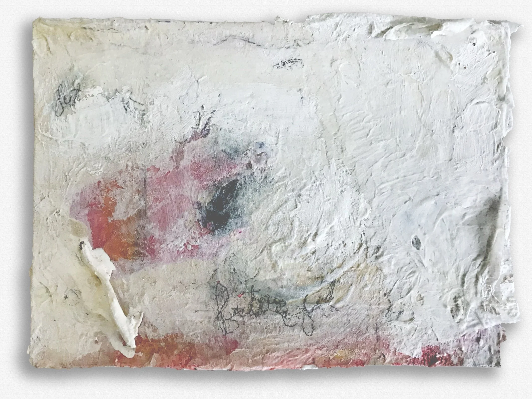 51/4"x4" paper, glue, paint pencil, organic material $60.