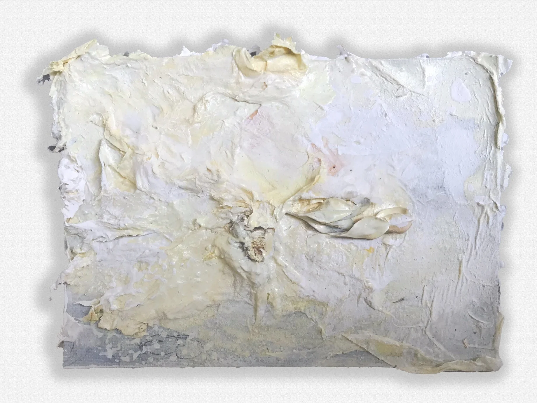4"x51/4" cardboard, glue, paint, organic material $60.