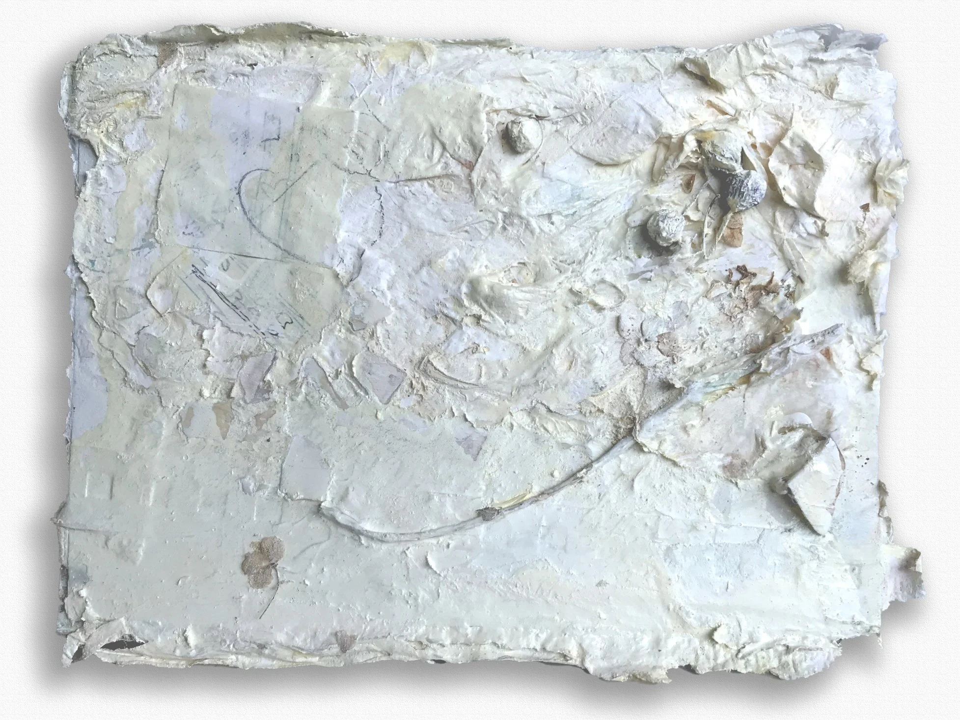 51/2"x7"" paper, glue, paint, organic material $100.