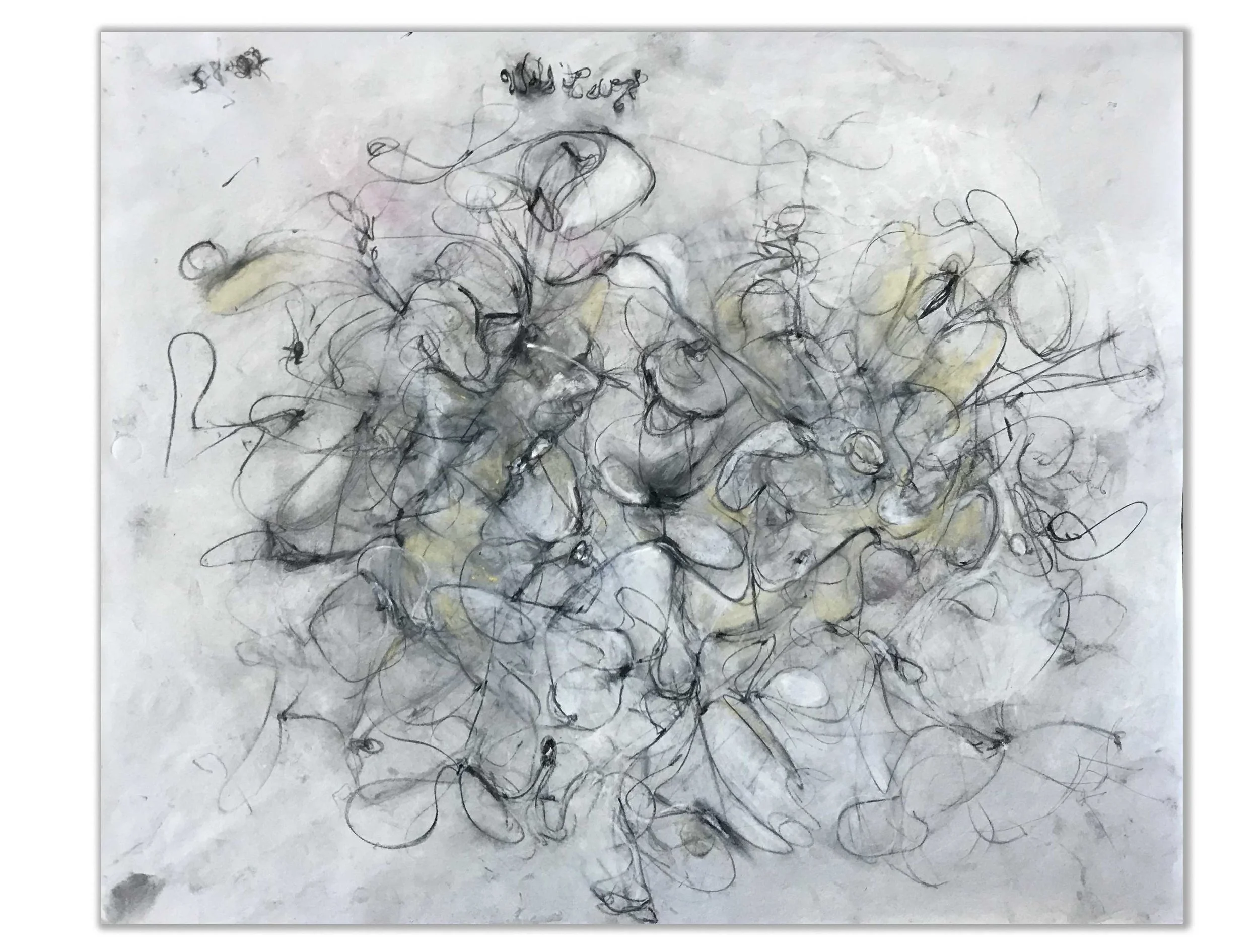 White Paisley 14" x17" pastel and pencil on paper $700.