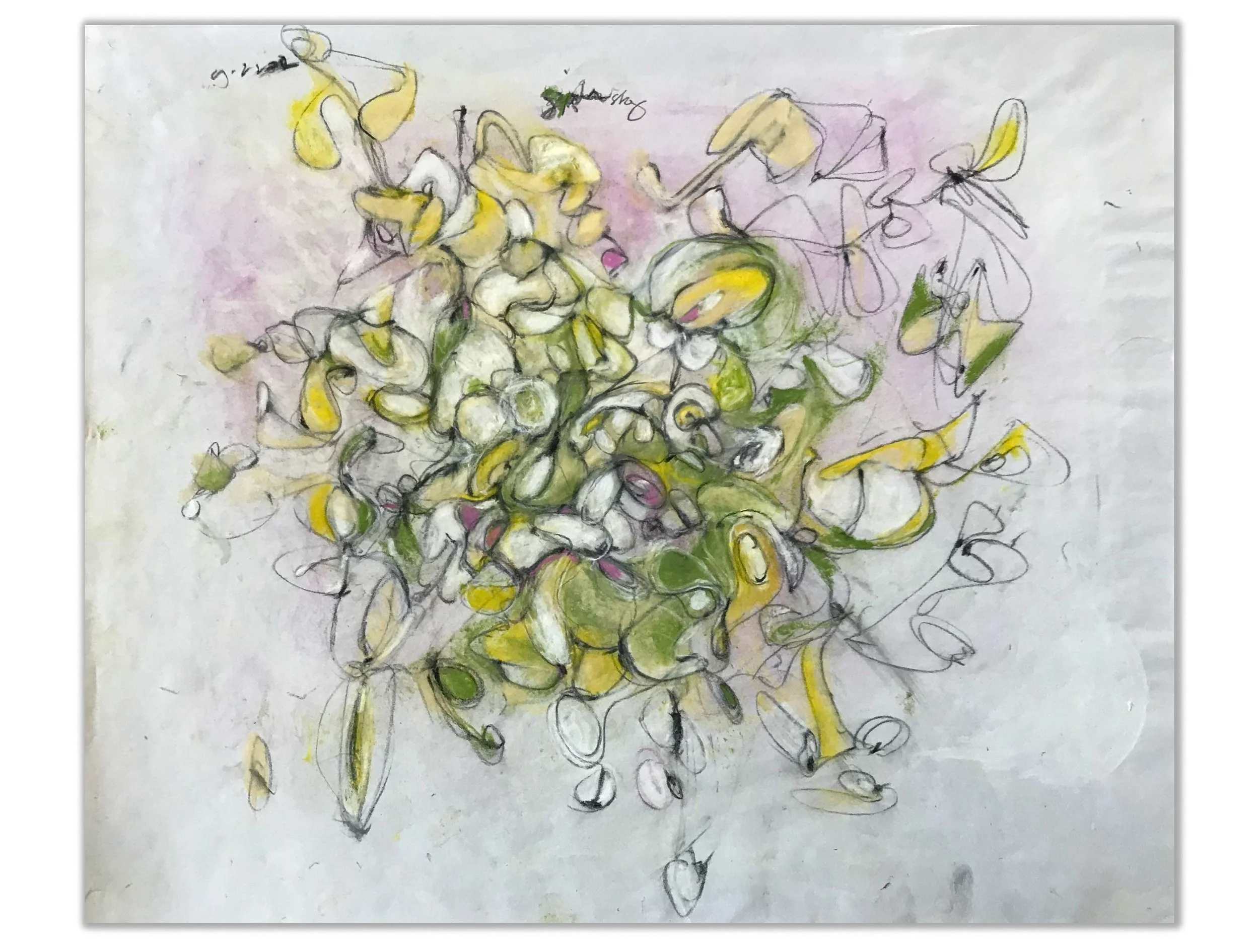 Green Paisley 14" x 17" pastel and pencil on paper $700.