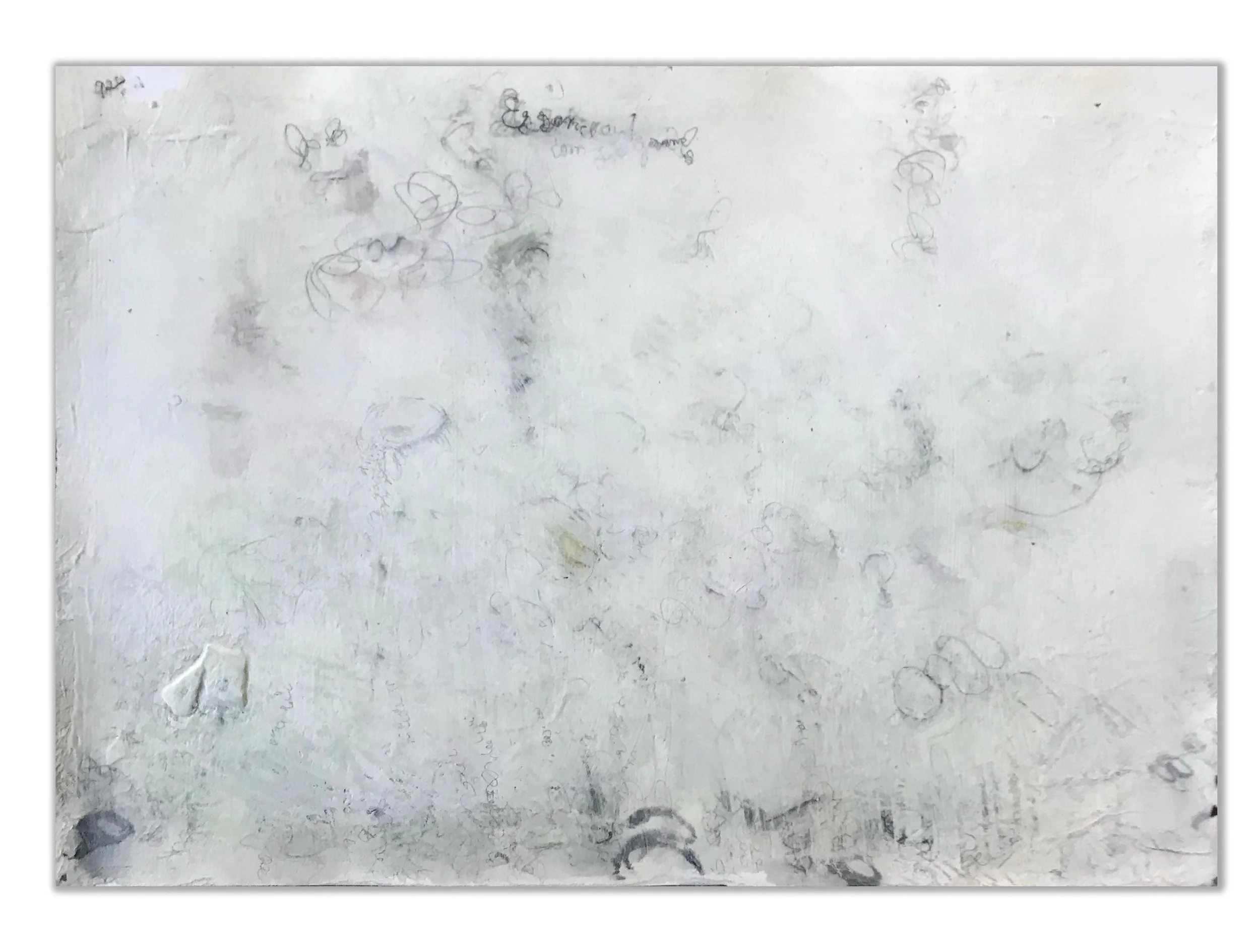 White Black Marks 3 9" x 12" paint, pencil, pastel, plaster on paper $300.