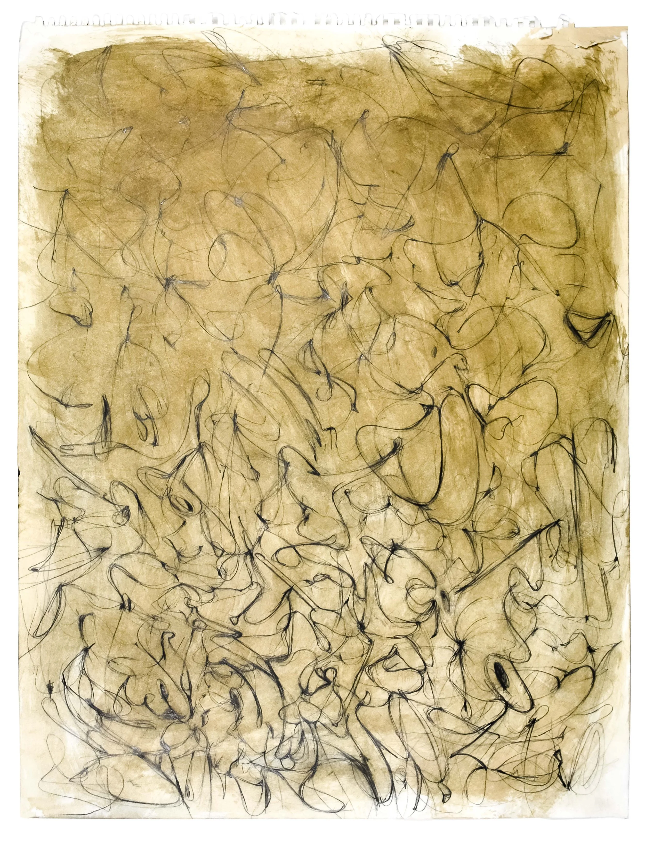 Gold 2 18" x 24" paint, stain, pencil on paper $1200