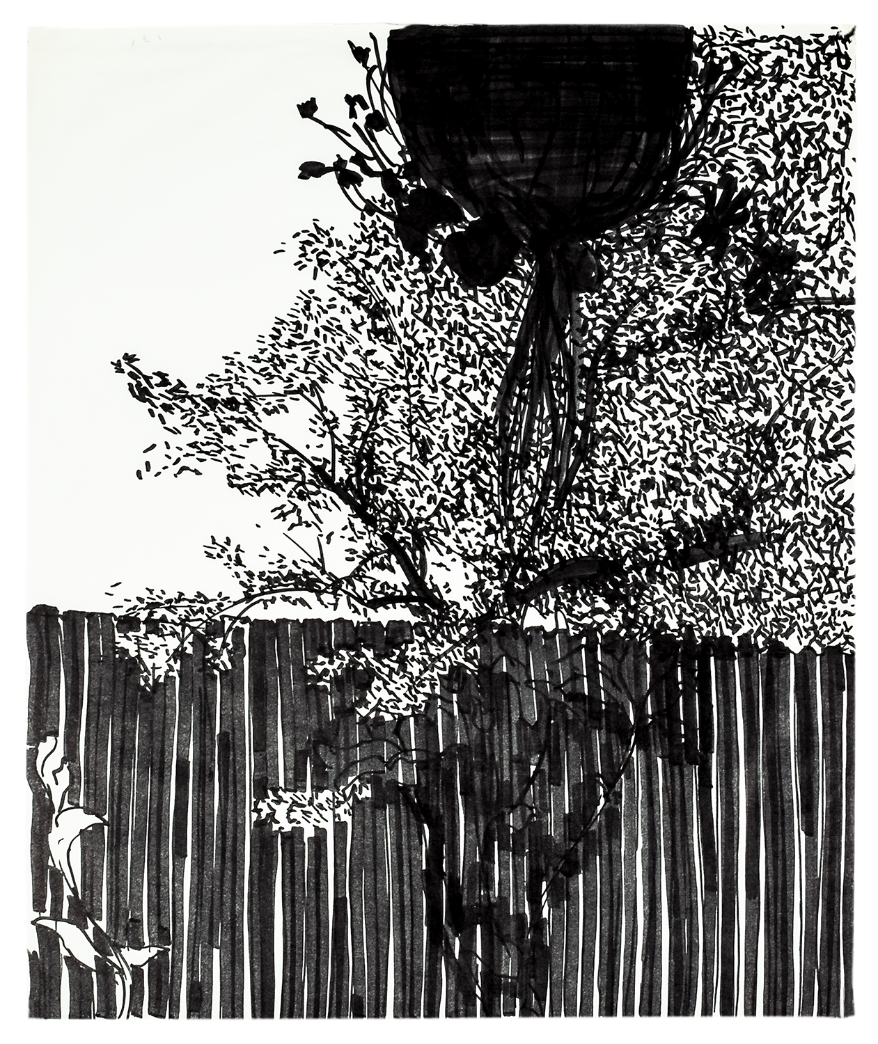 Pot and Fence 14" x 17" ink marker on paper $700.