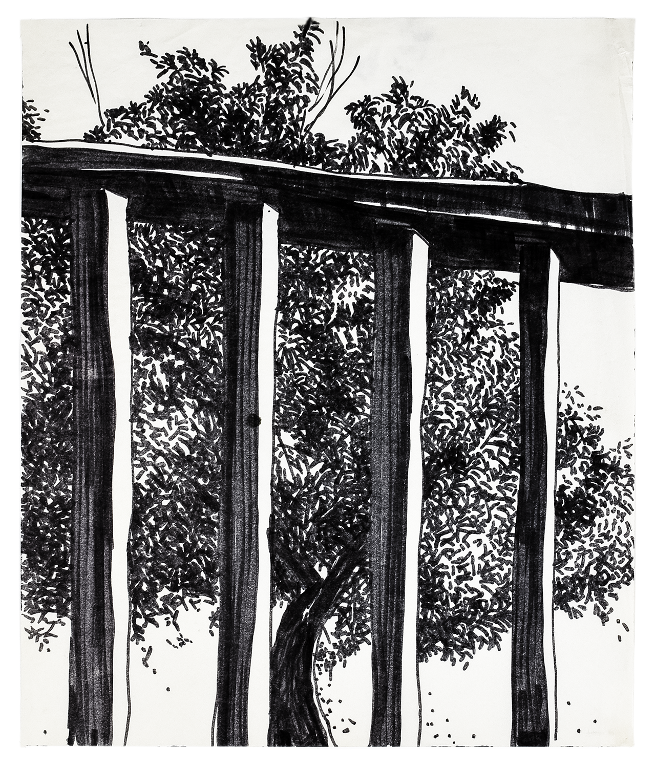 Iron Fence and Maple 14" x 17" ink marker on paper $700.