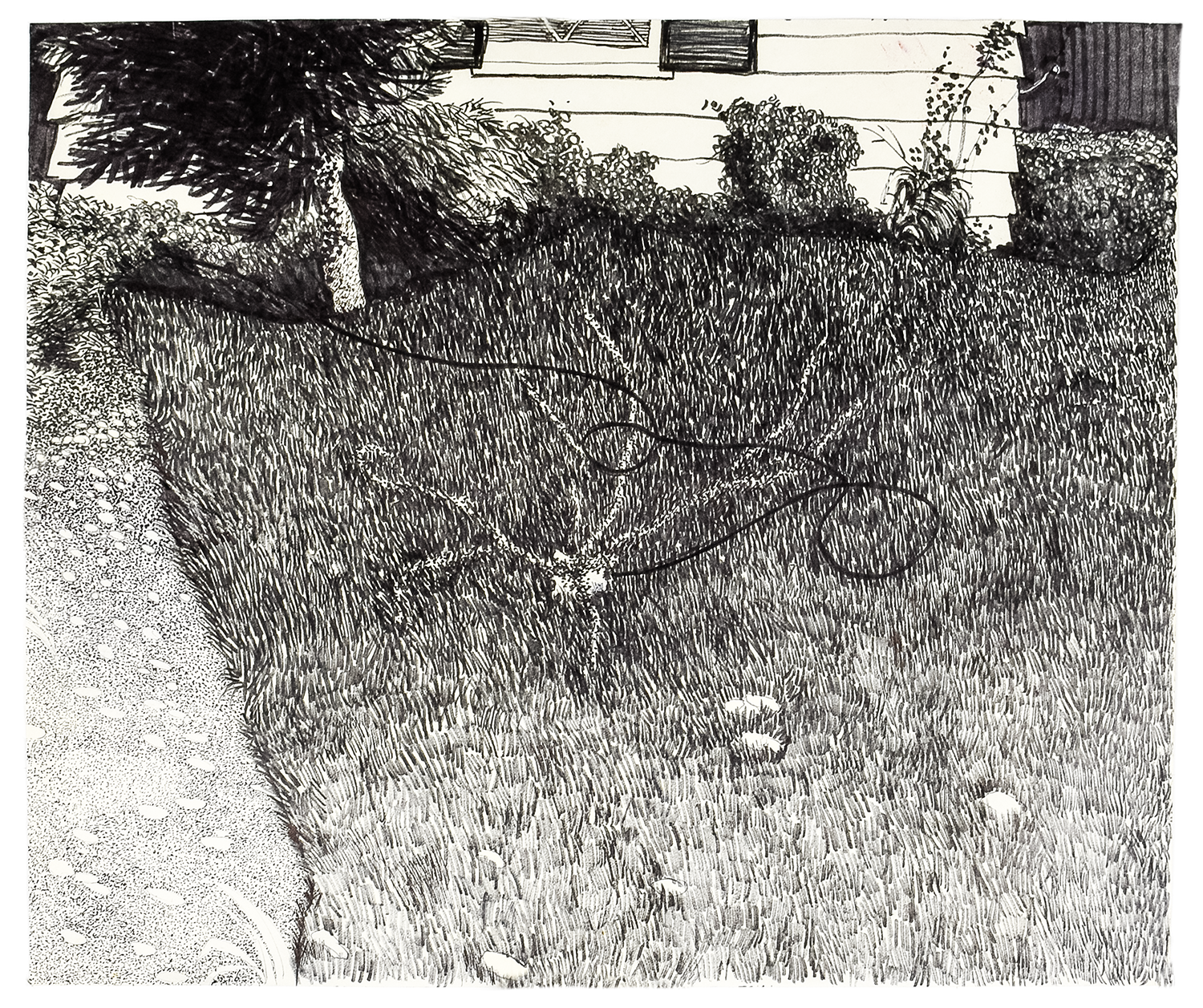Watering 2 14" x 17" ink marker on paper $700.