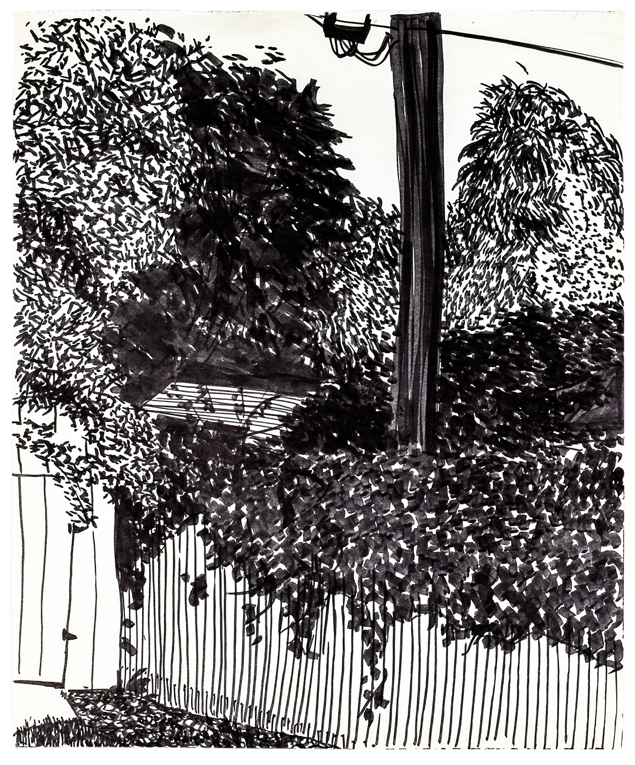Overgrown Fence 14" x 17" ink marker on paper $700.