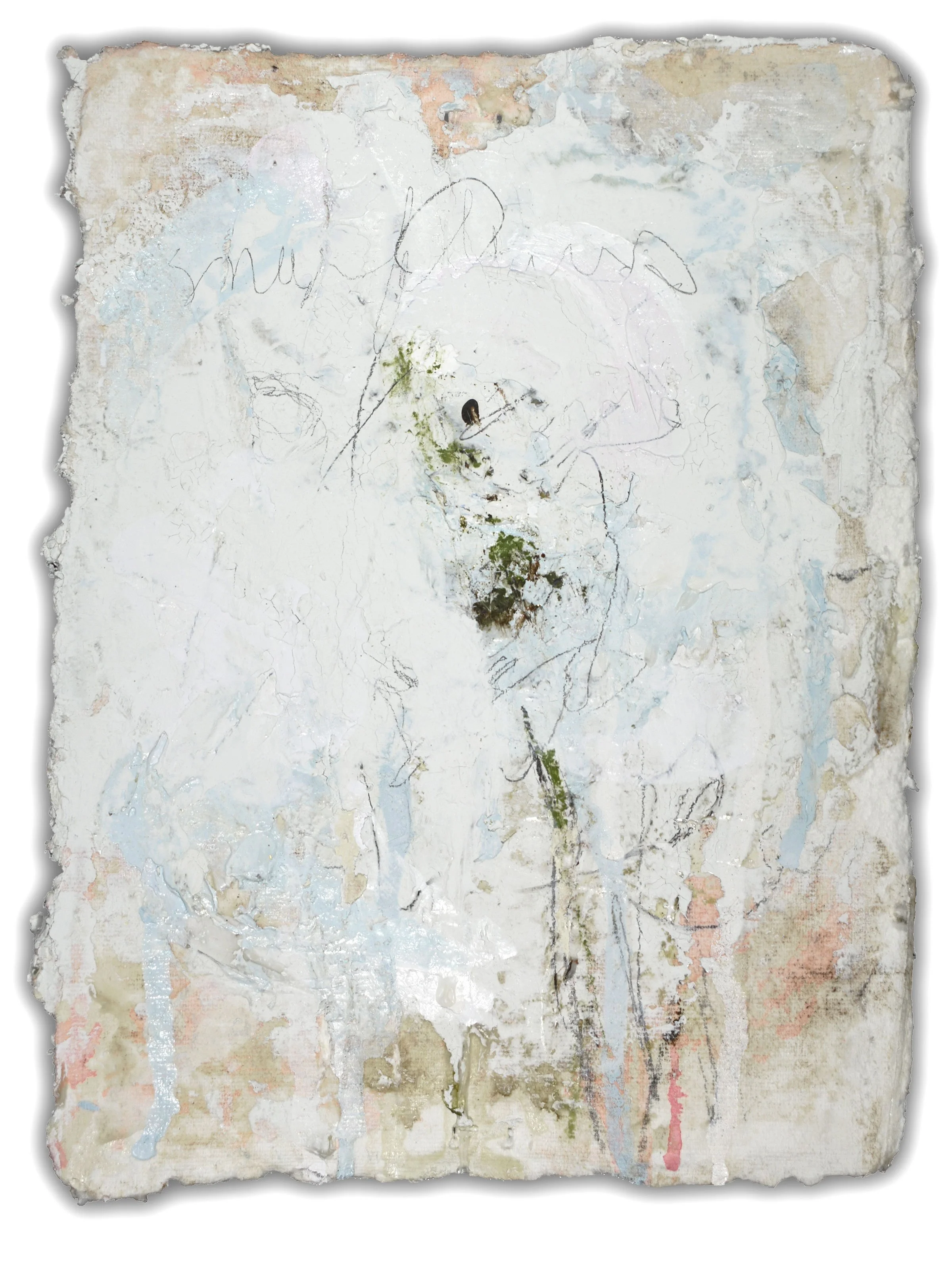 Snowflowers-paper-camera-6.jpg