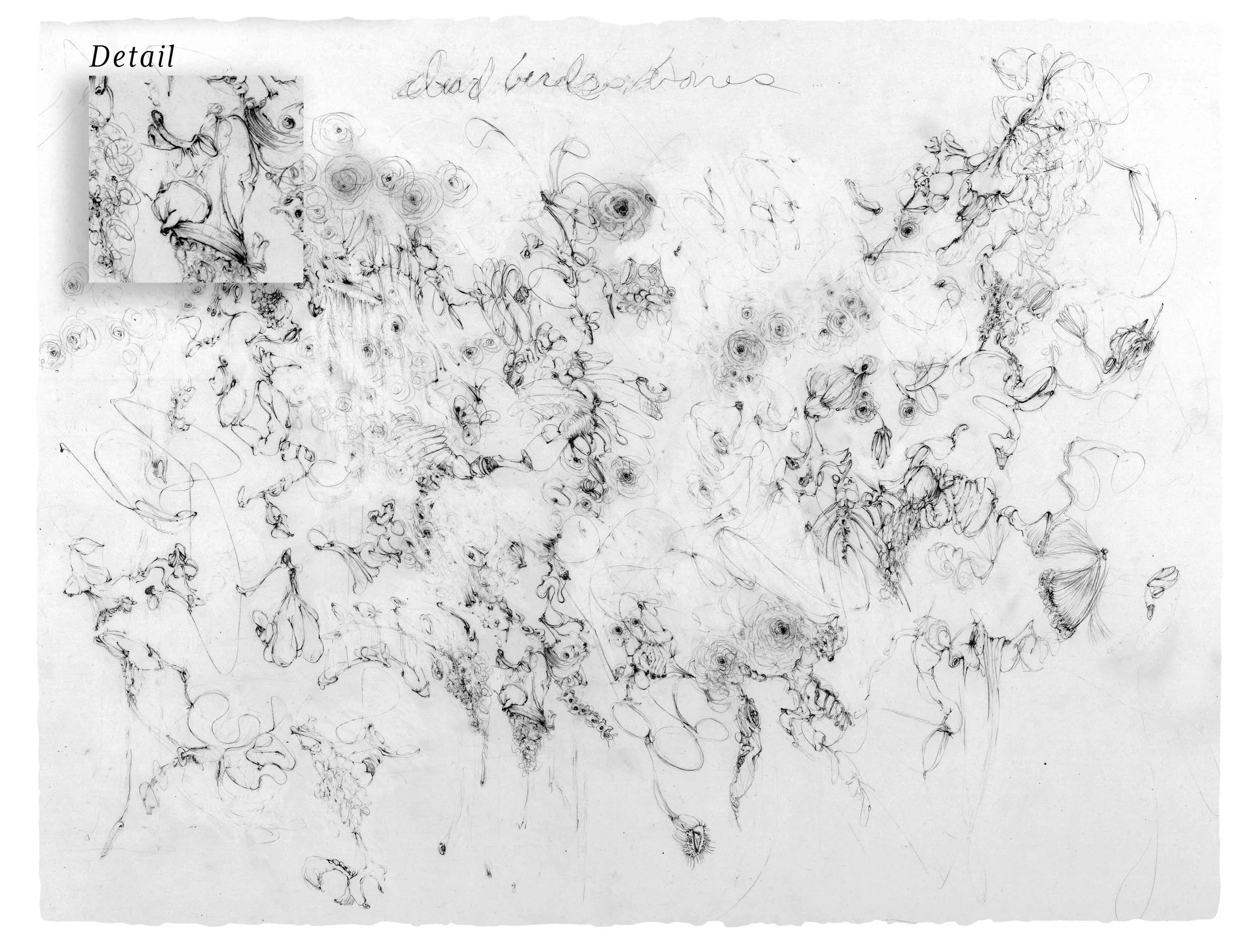 Dead Birds Bones, Pencil on Arches 221/2"x30"