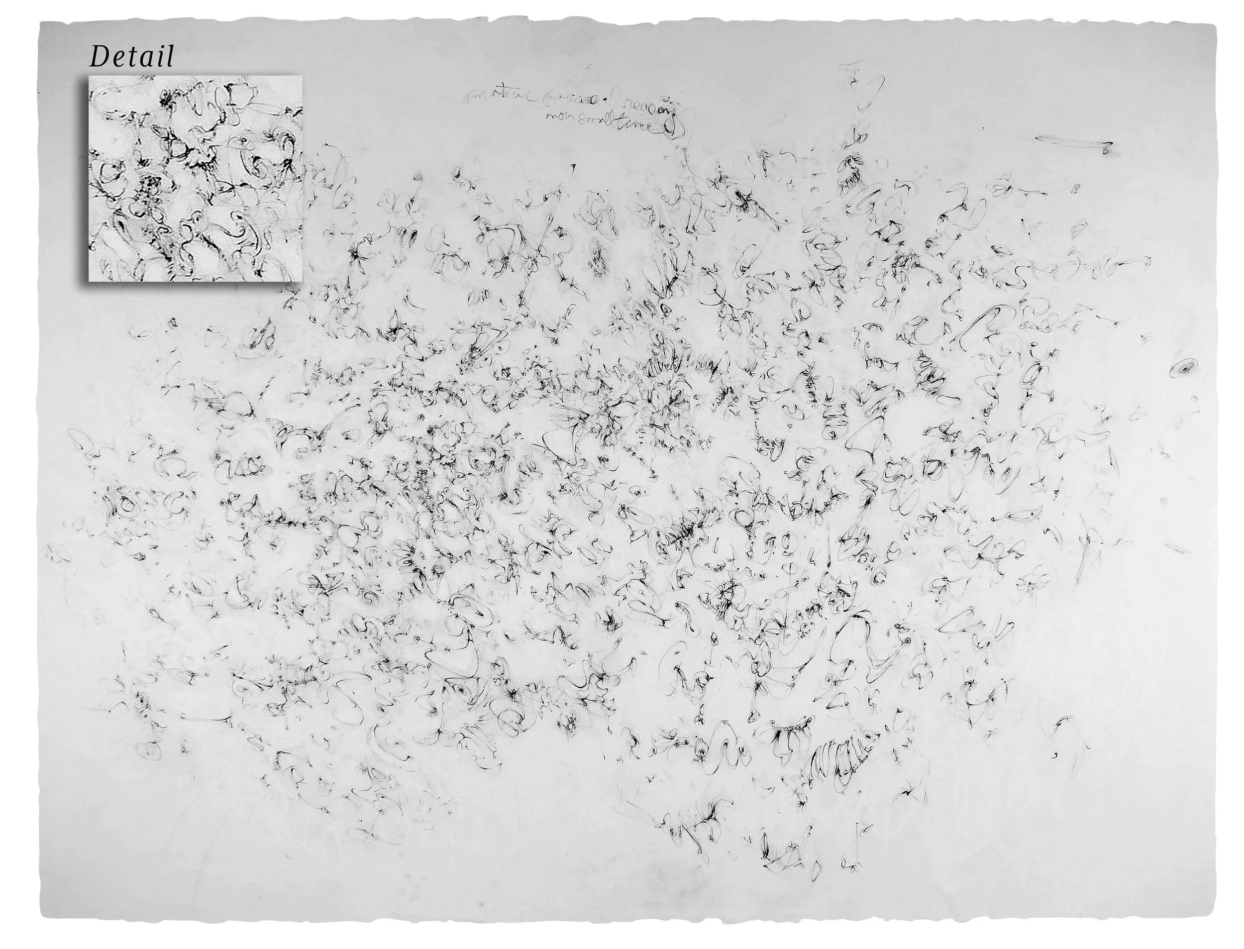Amateur Forces of Reason, Pencil on Arches 221/2"x30"